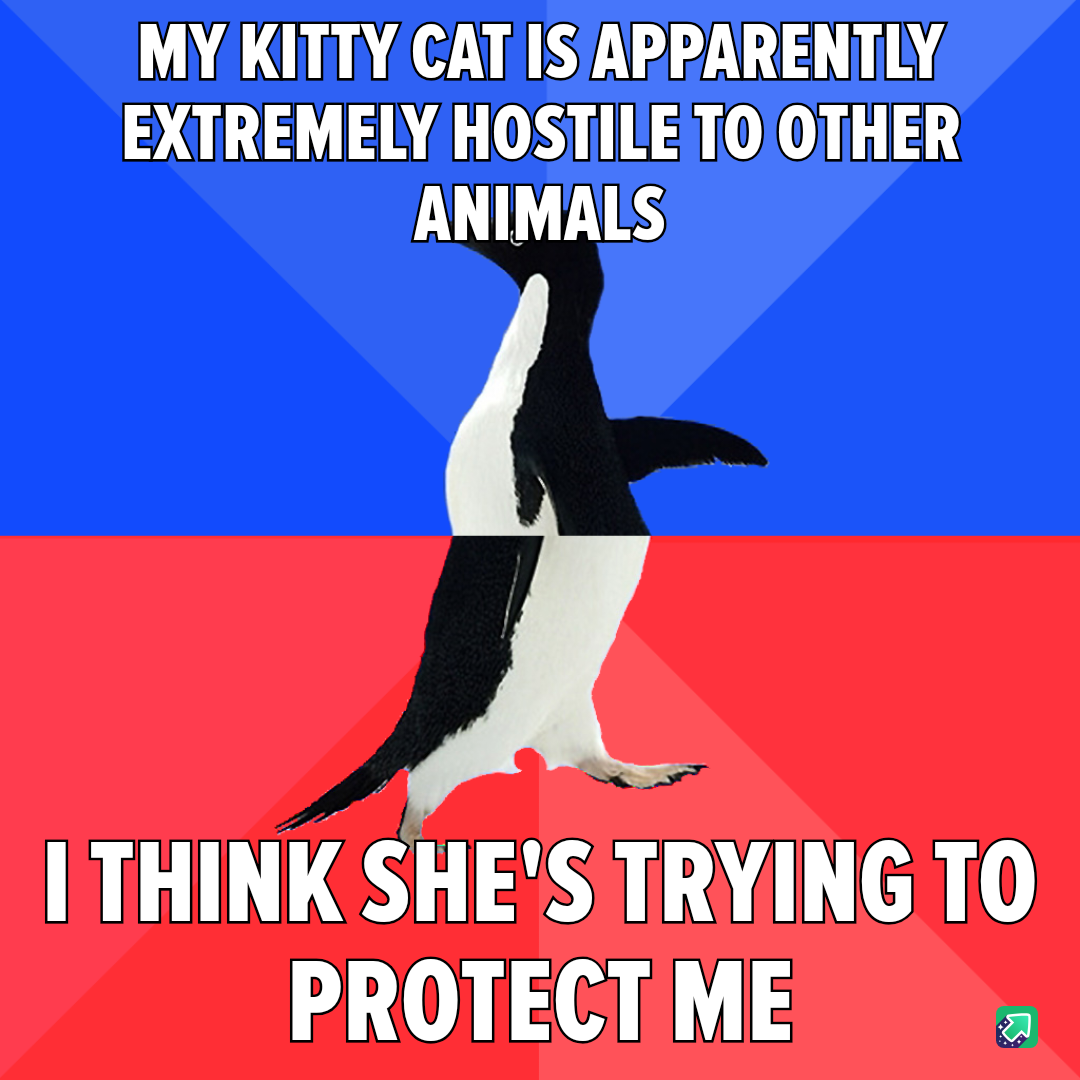 The Fearless Guardian Kitty