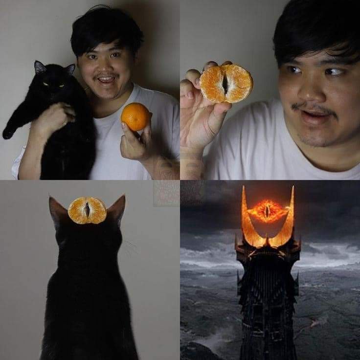 In the Shadows, We Unite: Bind Them Together!