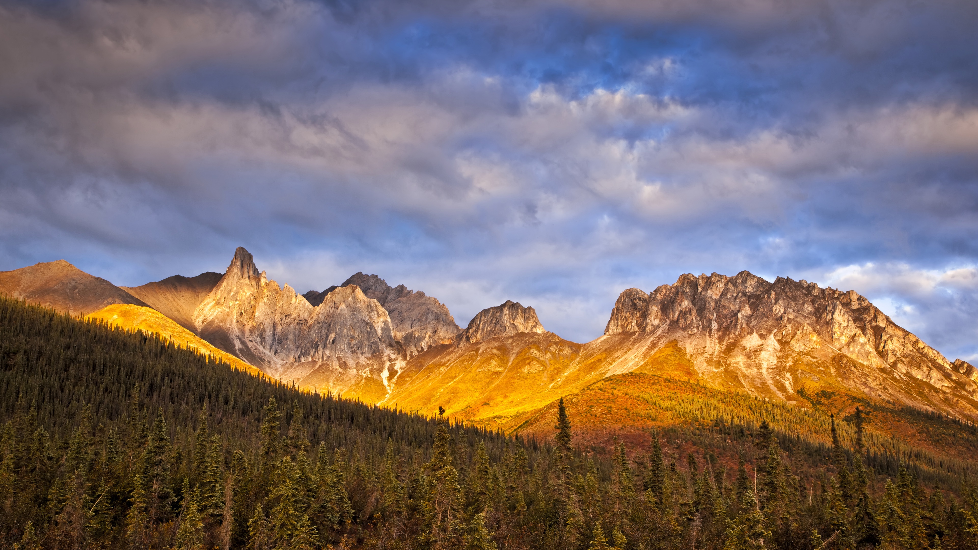 Exploring the Vast Arctic Wilderness