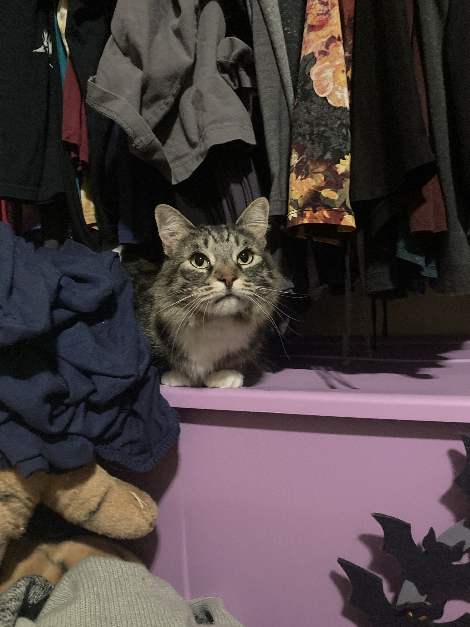 Dany's Secret Hideaway in the Closet
