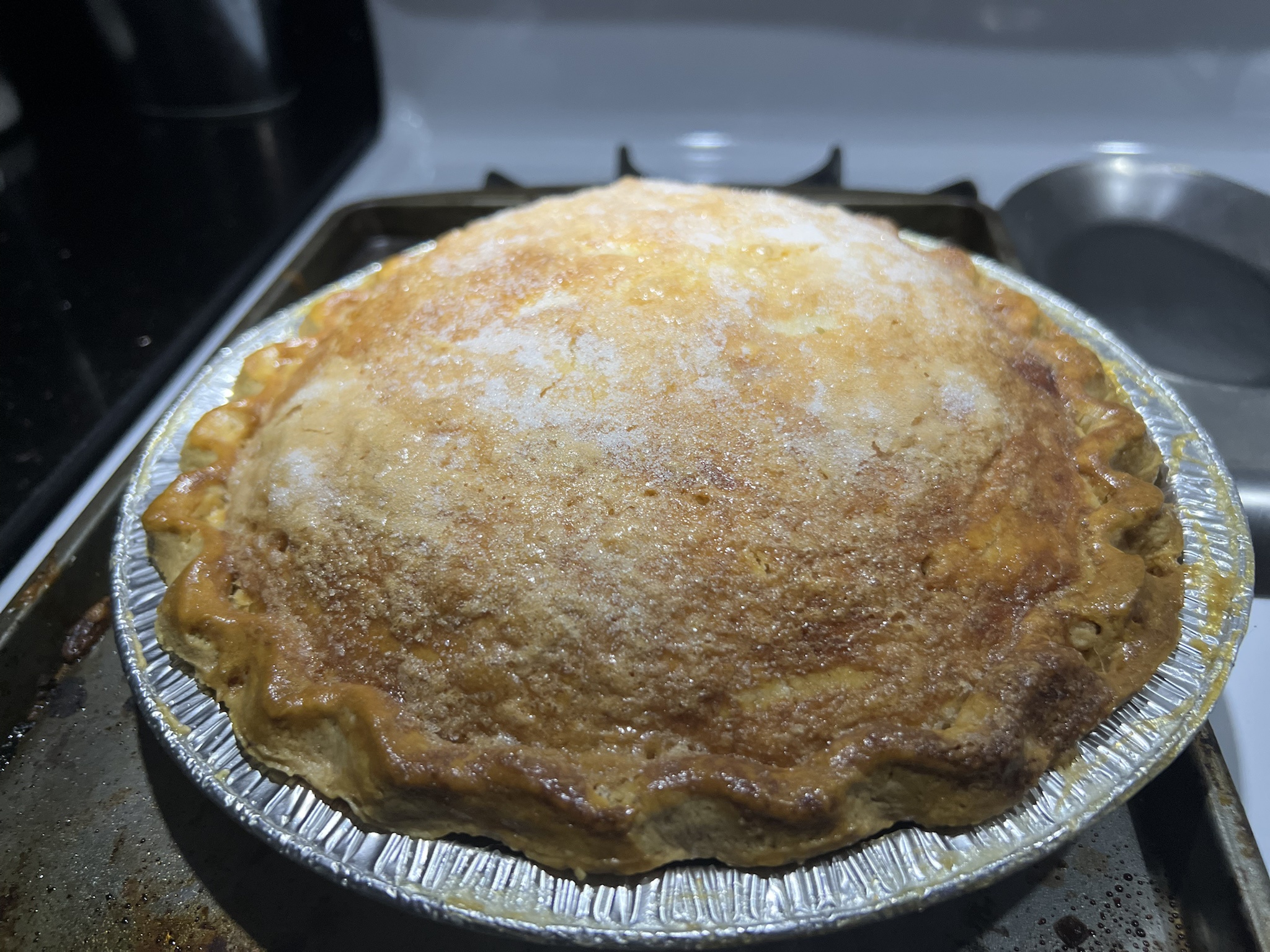 Delicious Pies Galore!