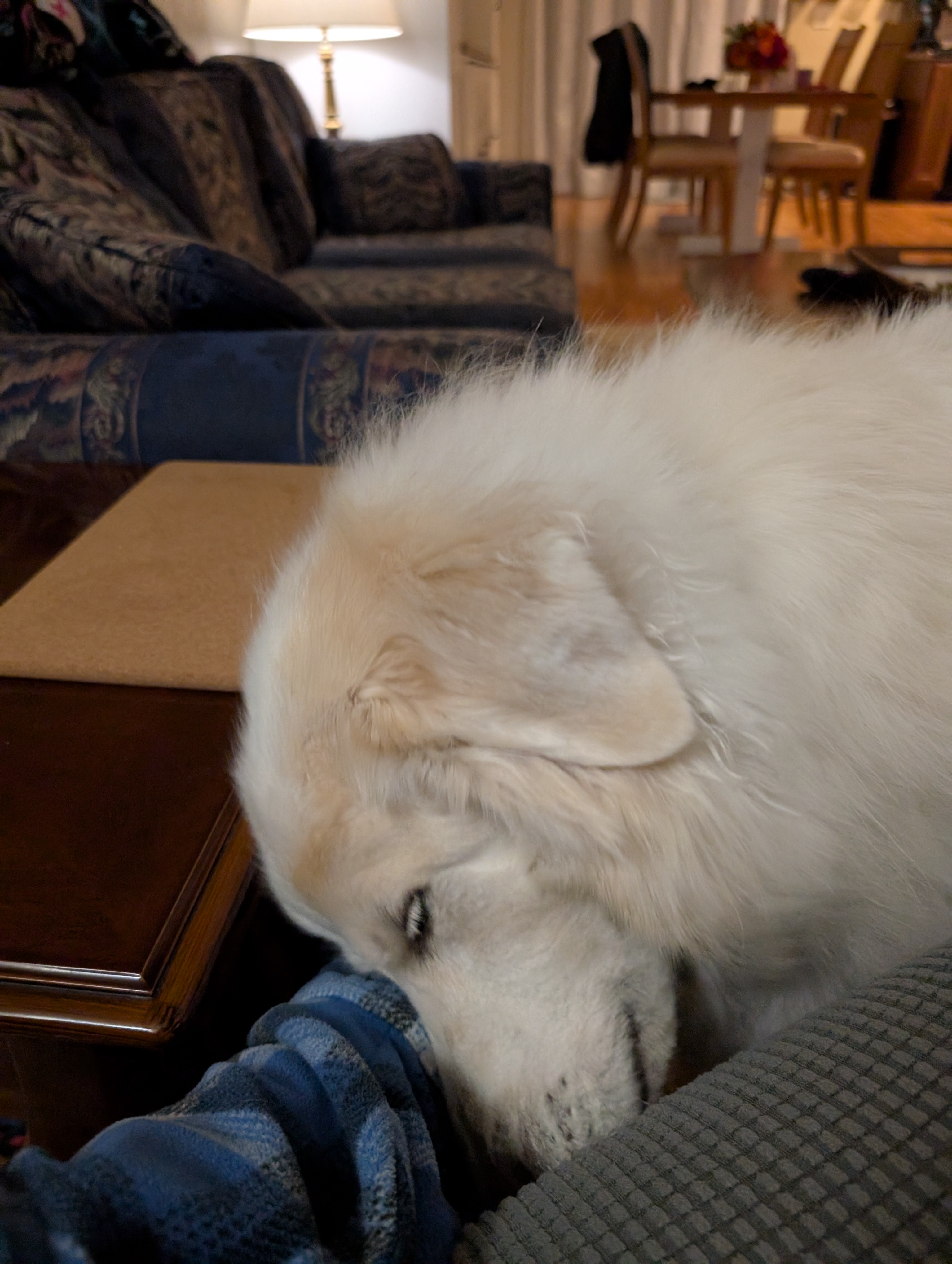 Winter Day 794: Another chilly chapter in the daily saga
