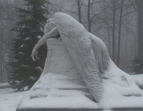 Beware the Weeping Angel: A Terrifying Encounter