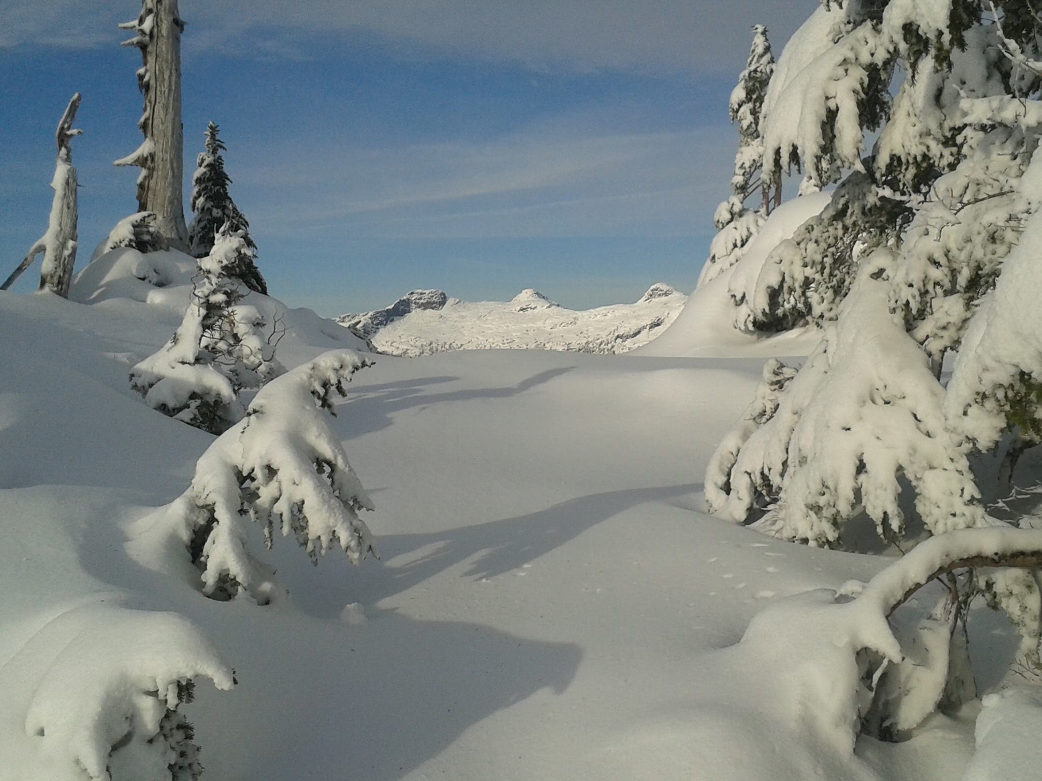 Exploring the Triple Peaks from Freda