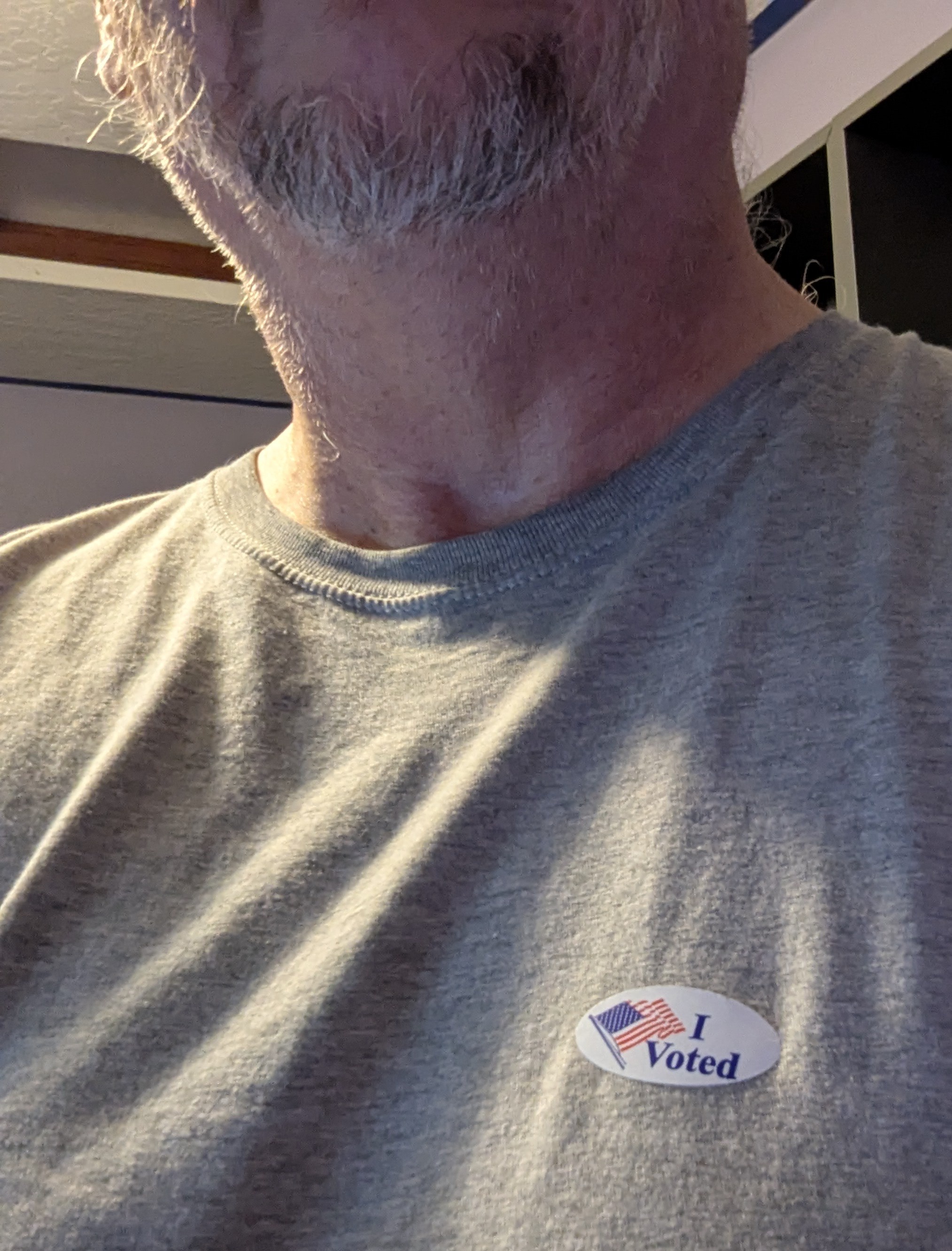 Always voted blue whenever the chance arose...