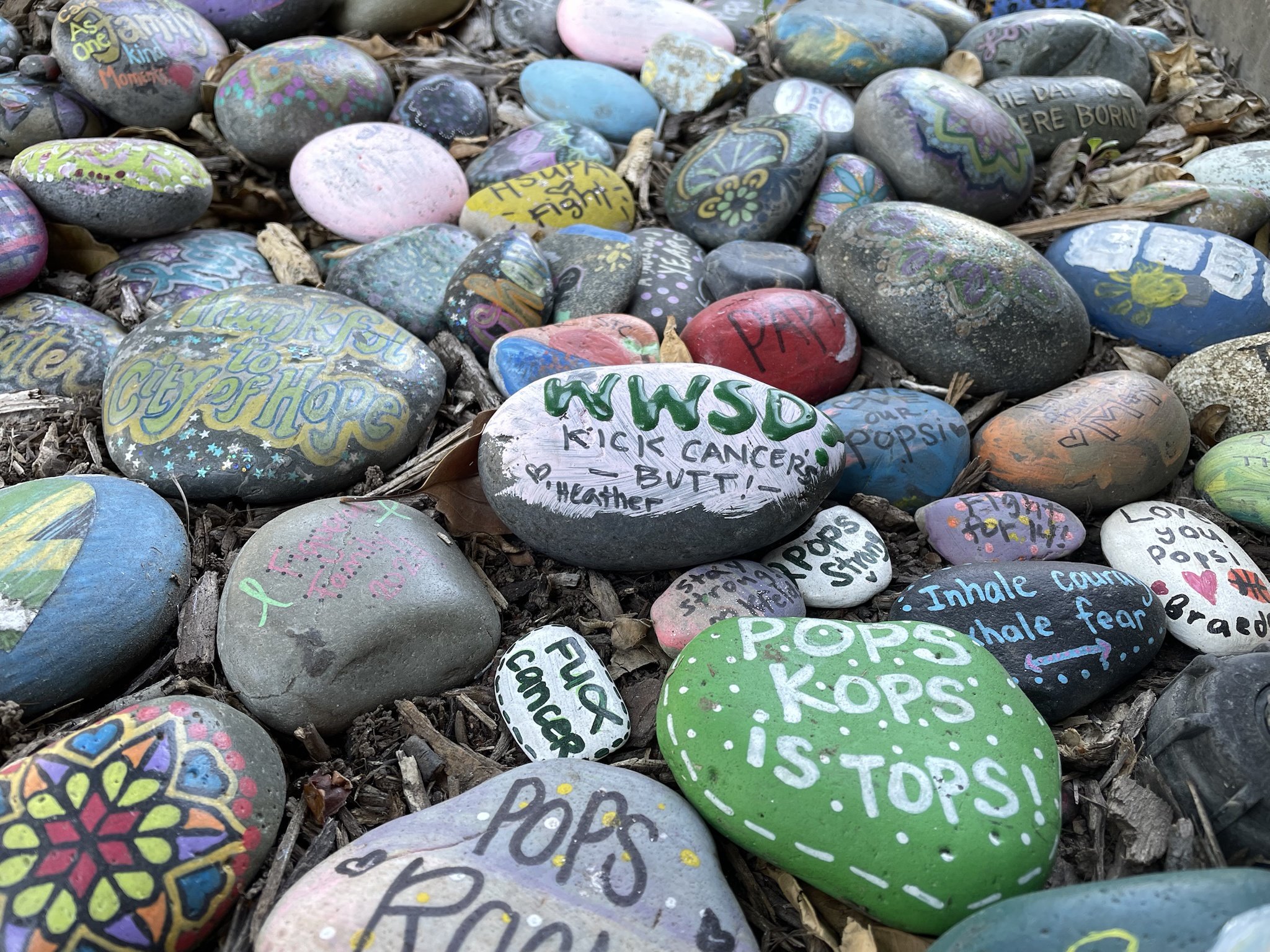A Glimpse of Hope at the City of Hope in Duarte, CA