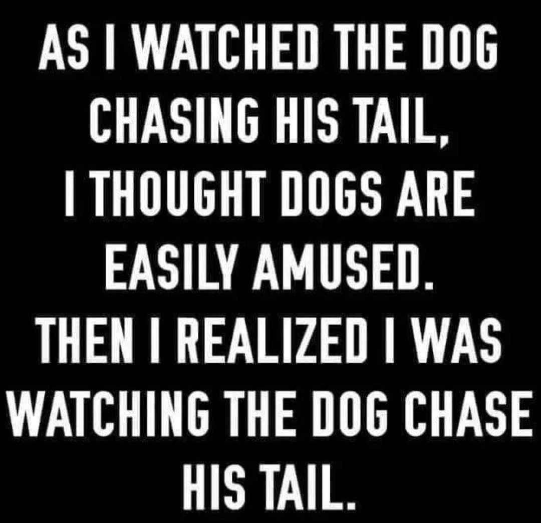 A Collection of 40 Hilariously Recycled Memes