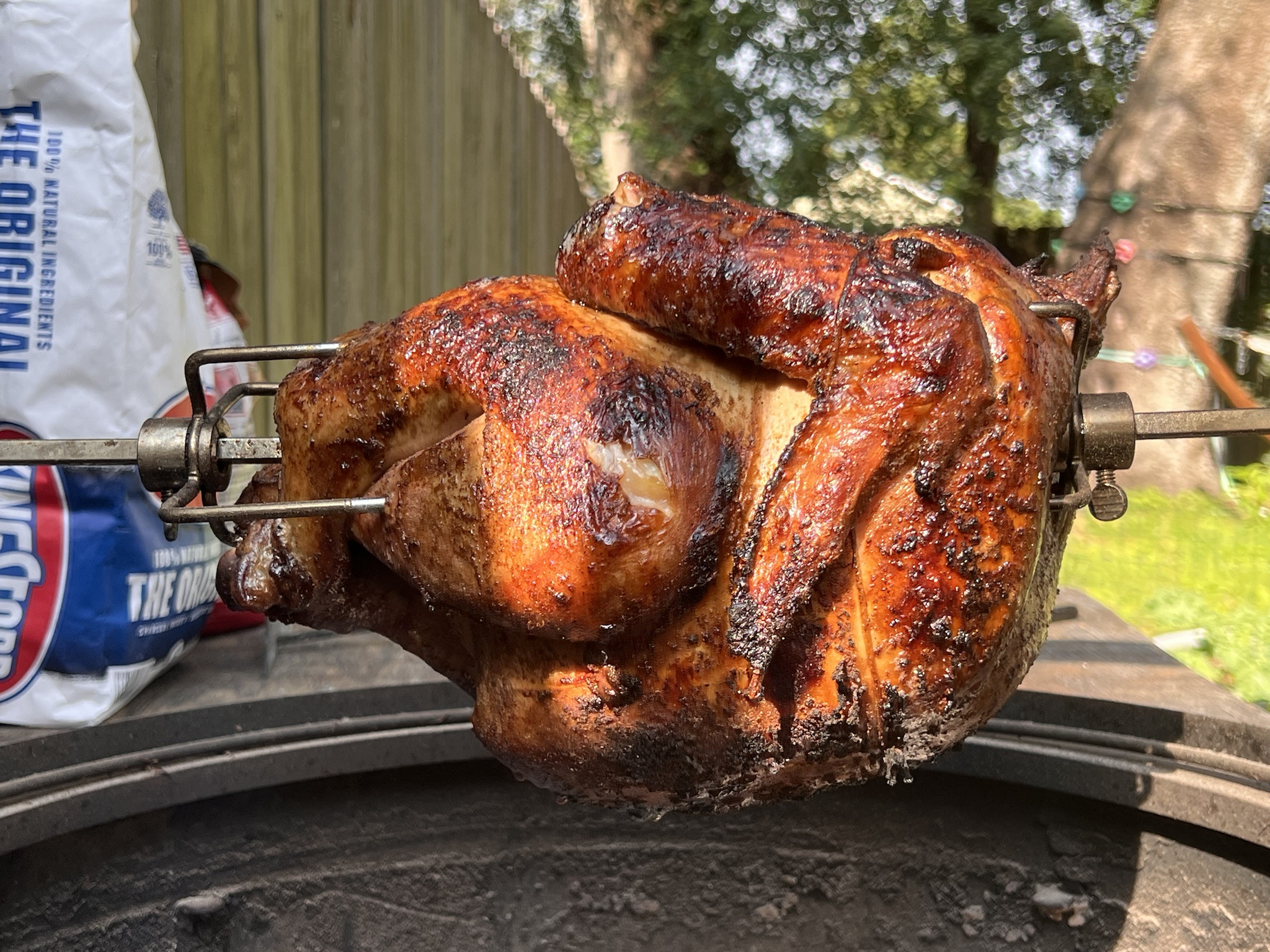 Celebrating Turkey Day in Style!