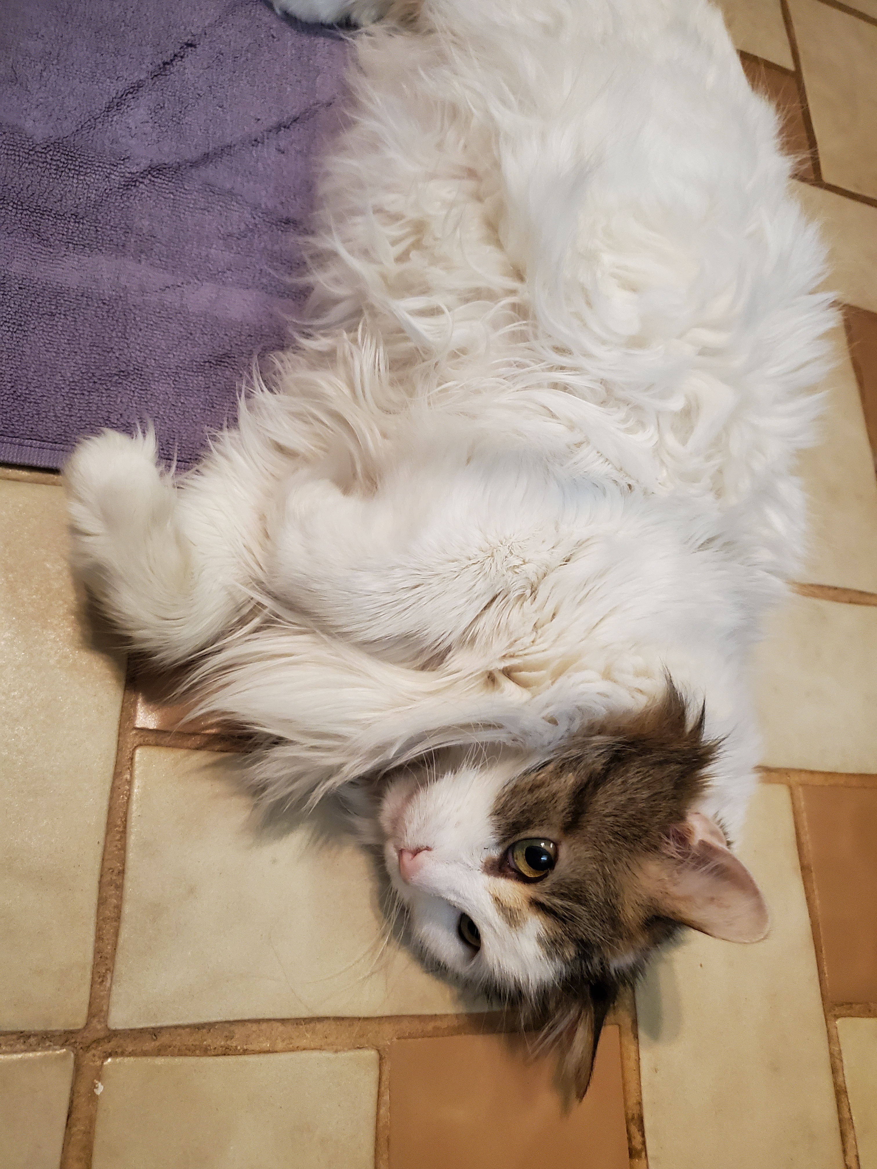 Zoe's Take on Mom's New Hobby: Why Not Join the Fun?