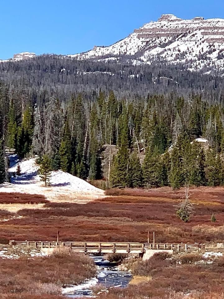 A serene landscape blanketed in pristine snow.