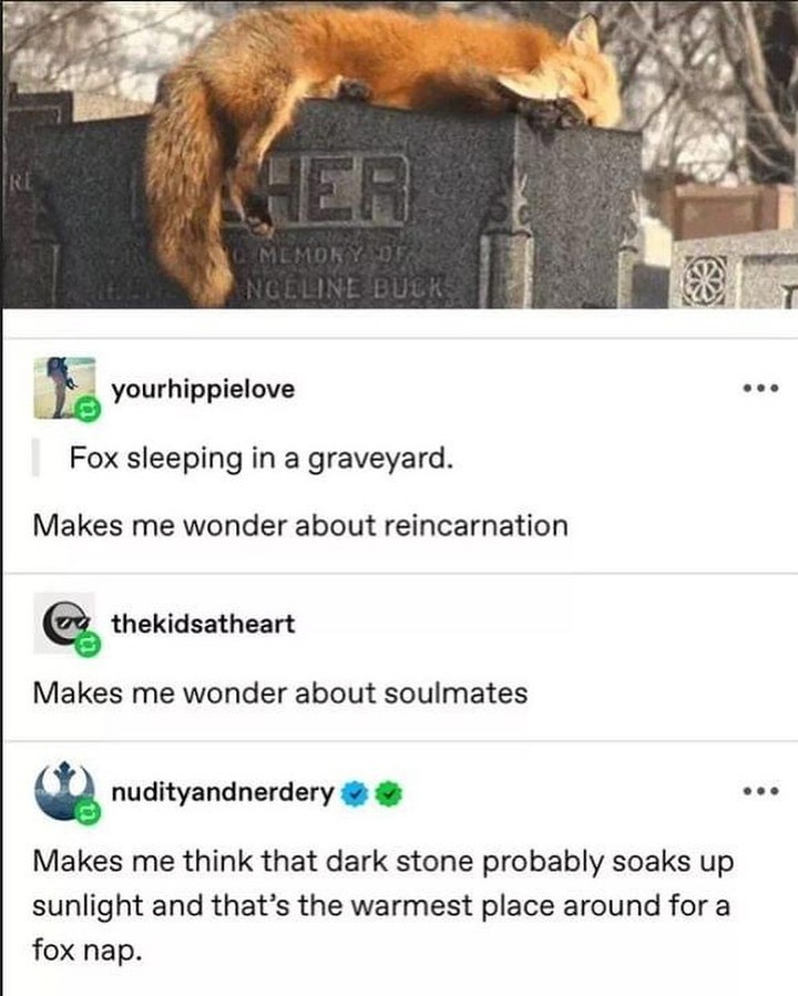 Unexpected Twist: The Fox is a Resting Reincarnation!