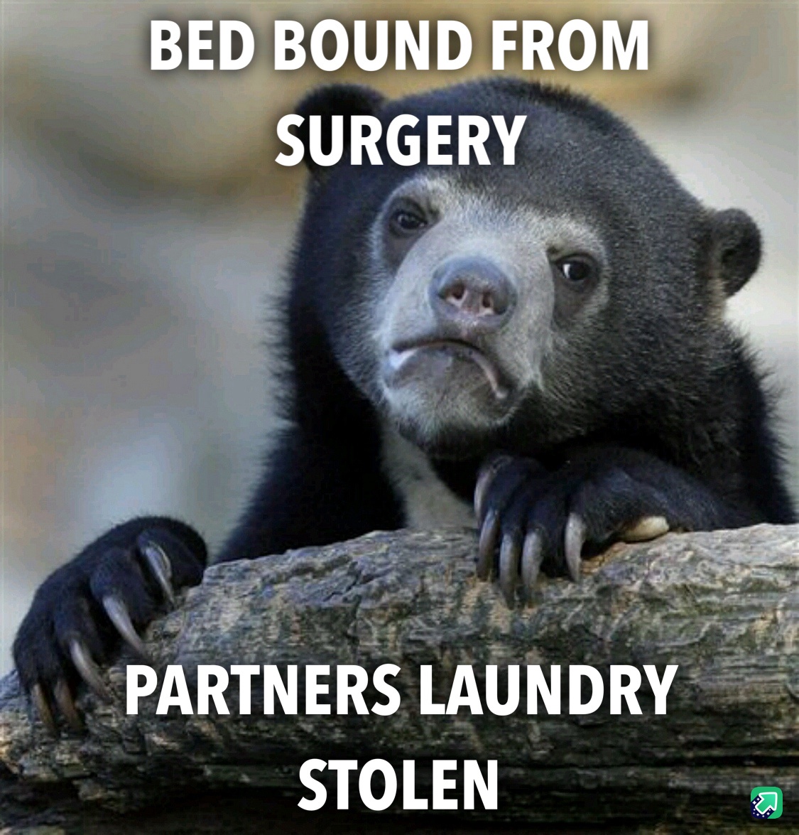 Stuck in bed while their laundry mysteriously disappears!