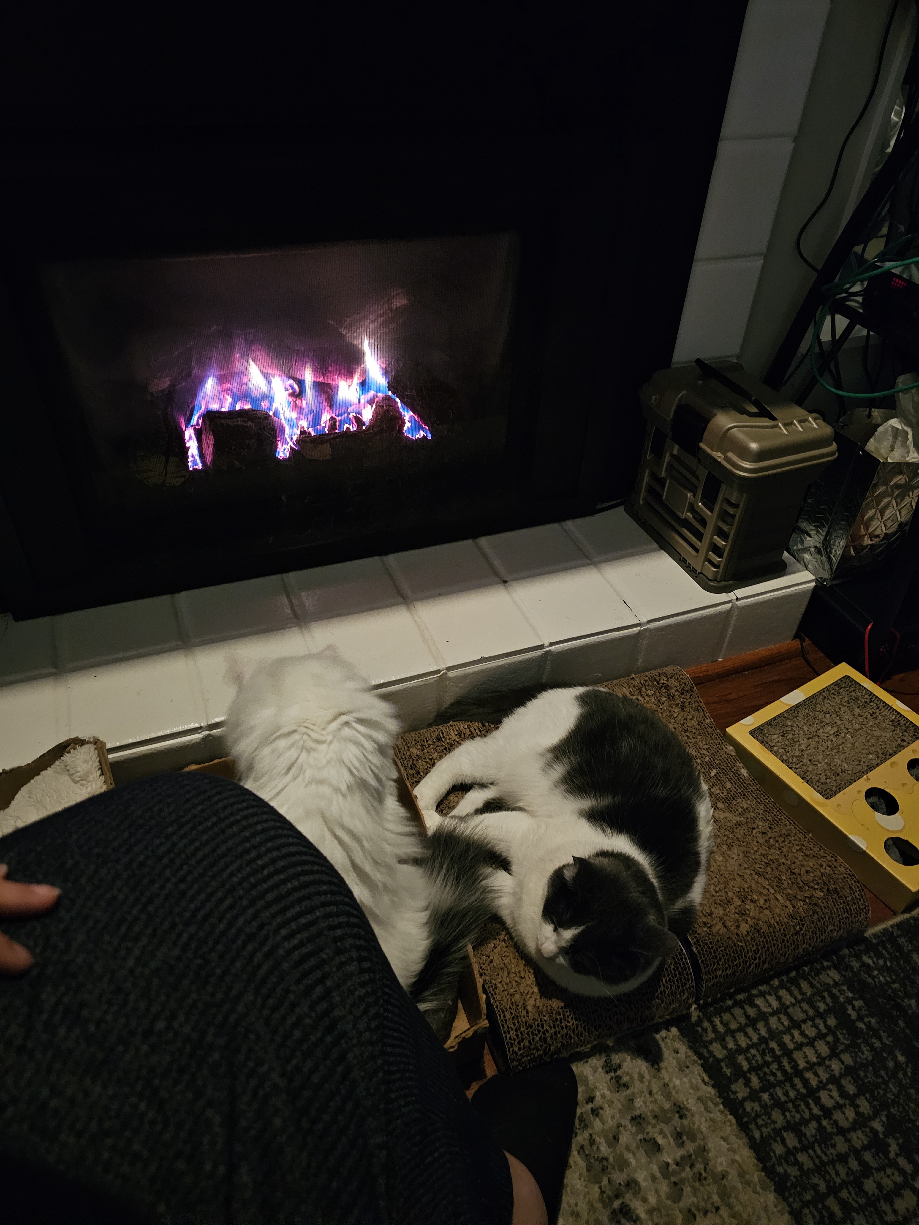 The coziest spot on a chilly Caturday evening.