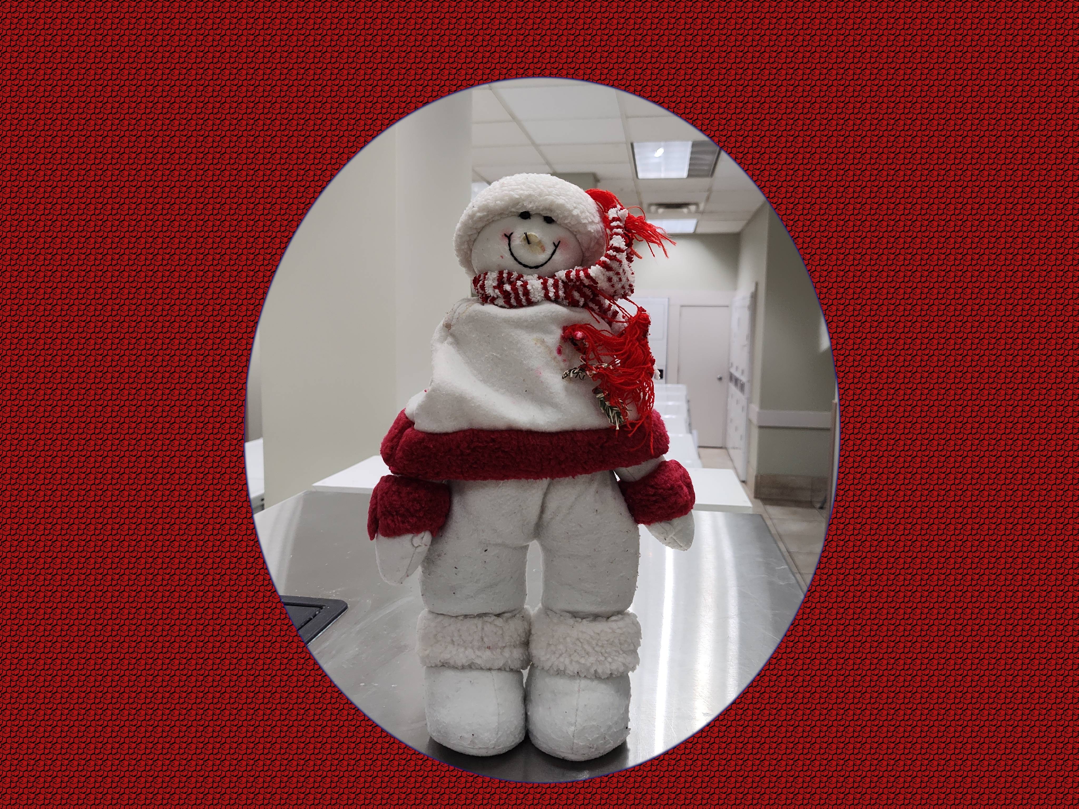 Meet Stanley, the Snowman Extraordinaire