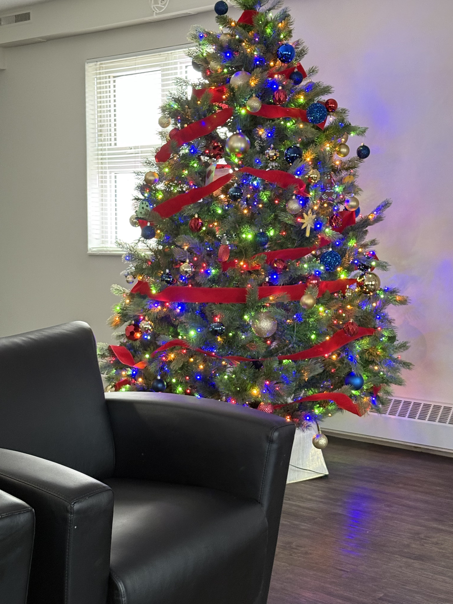 My Christmas Tree is Up Way Too Early This Year
