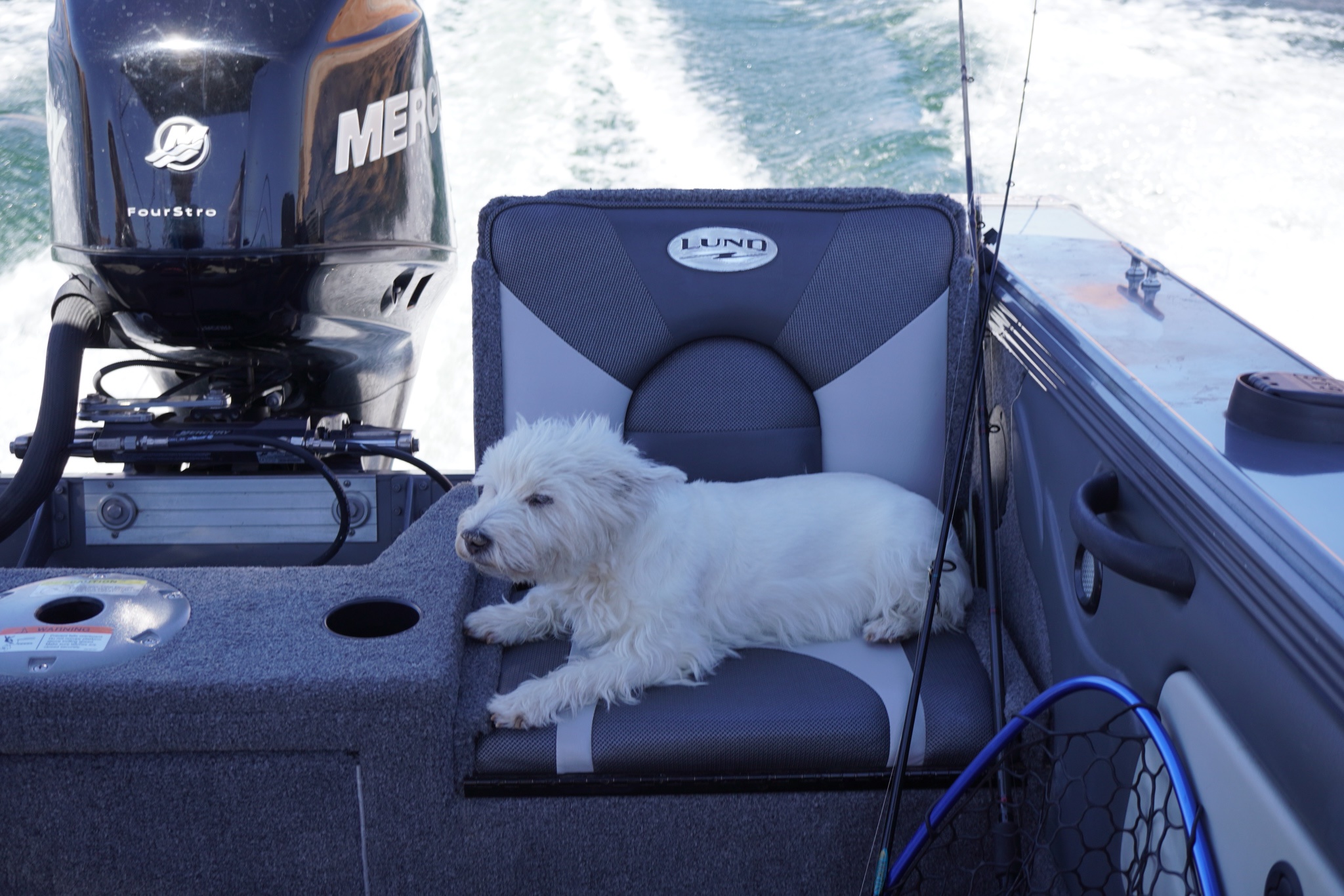 Lily Bella: Battling the Winds for Five Long Months