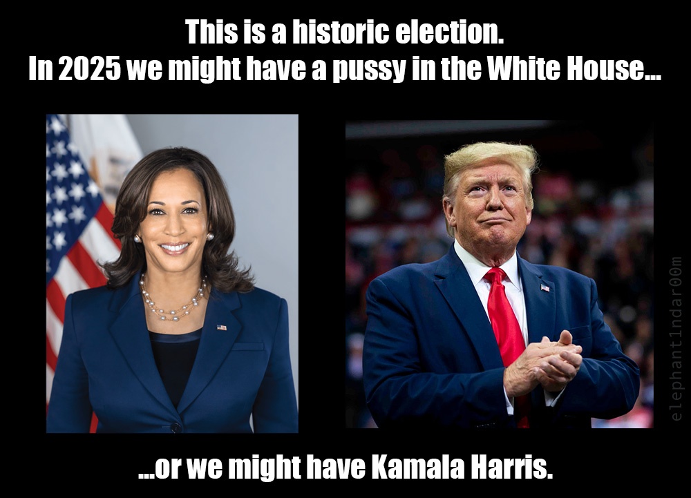My Most Controversial Political Joke Yet!