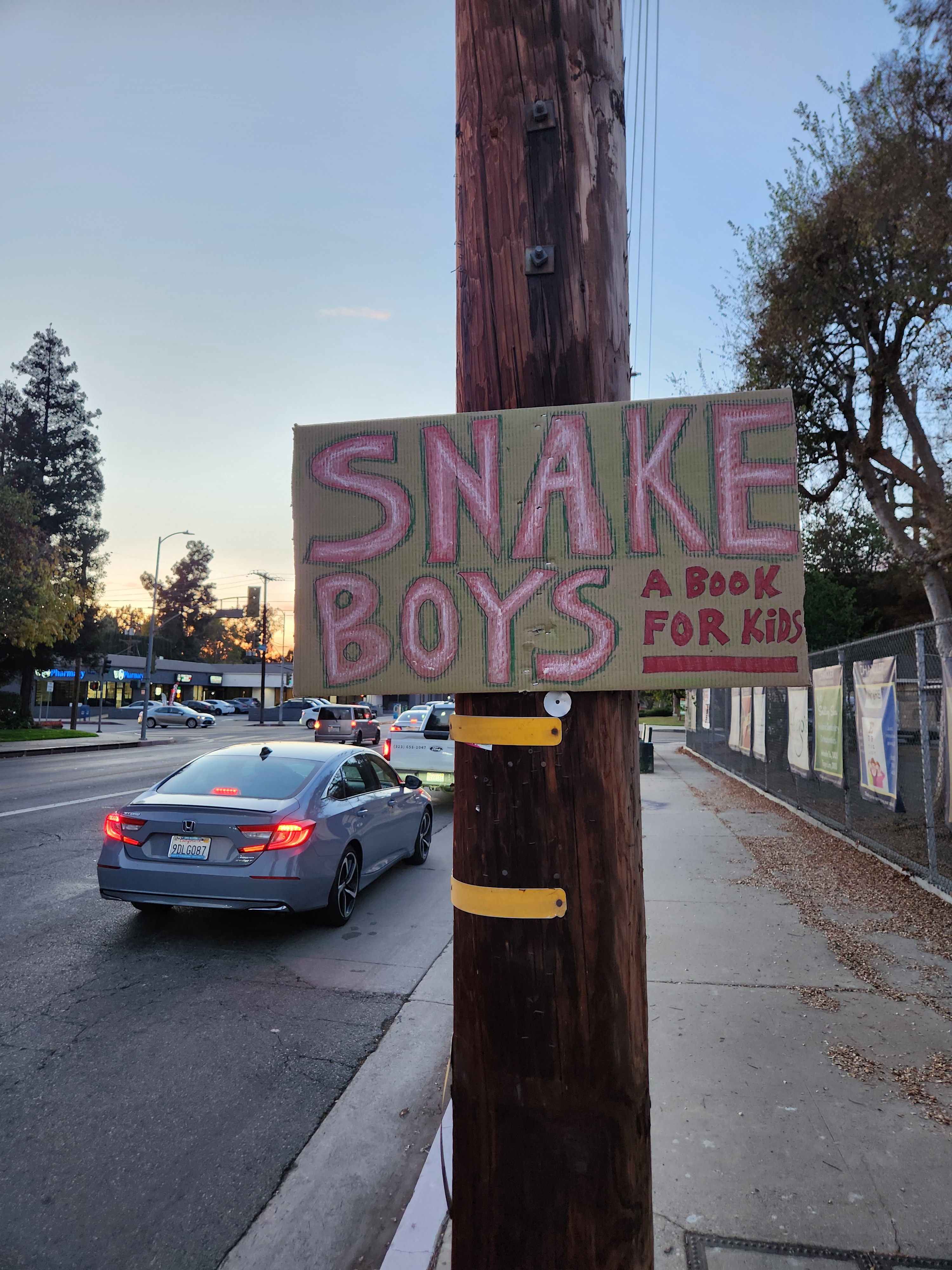 The Adventures of the Snake Boys