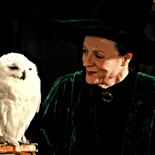 Meet Minerva, the Strongest Heart-Witch!