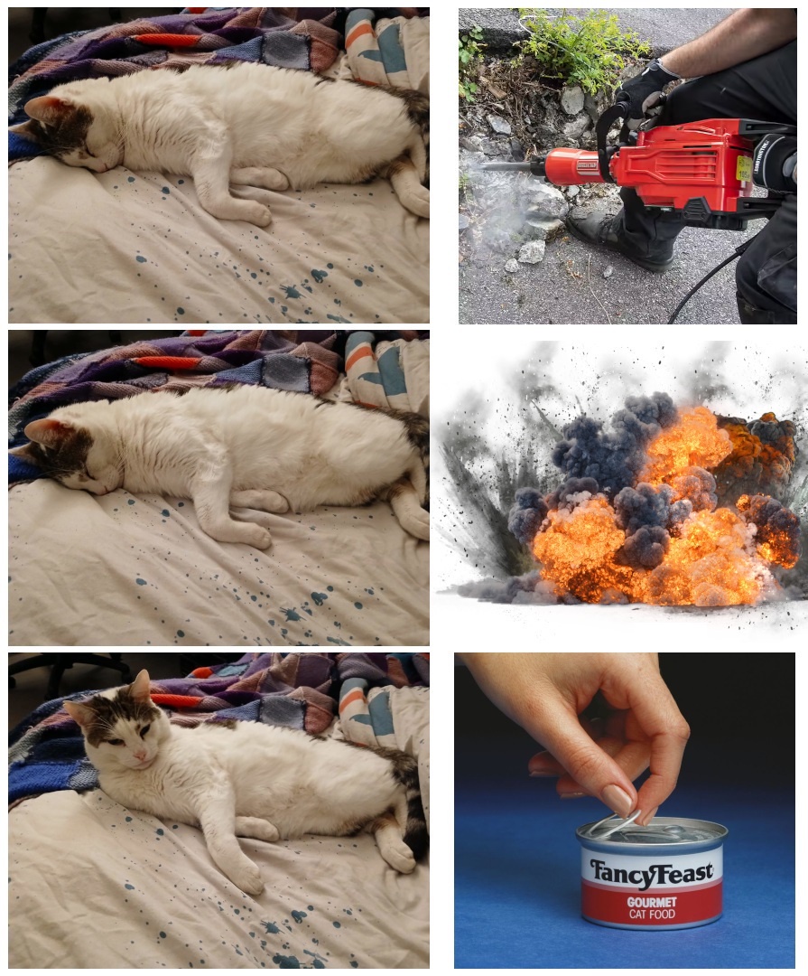 Sleeping Through Reality: The Real Deal