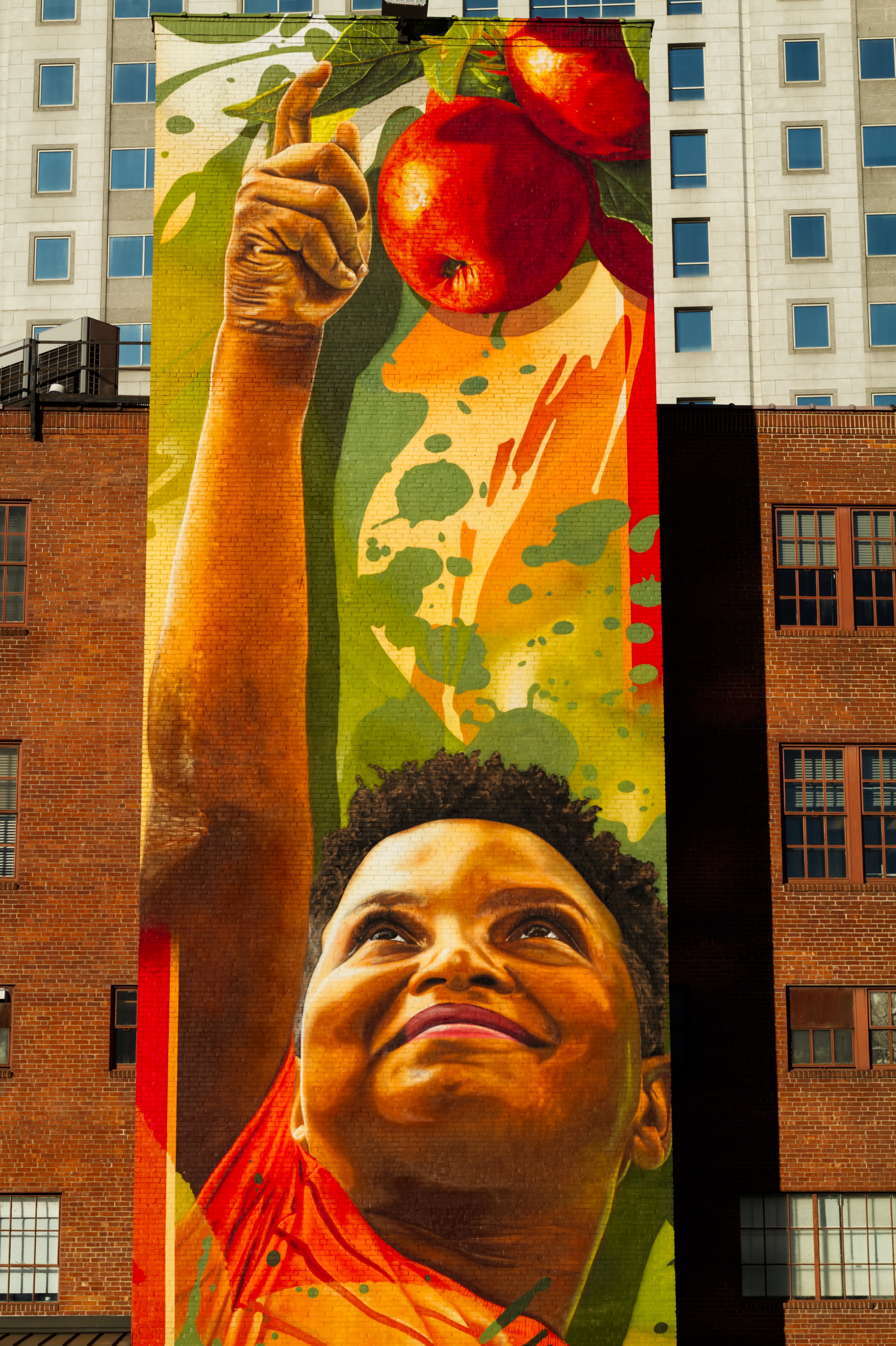 Discovering the Charm of Hartford Apples