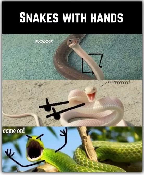 Imagine snakes with hands - what a sight!