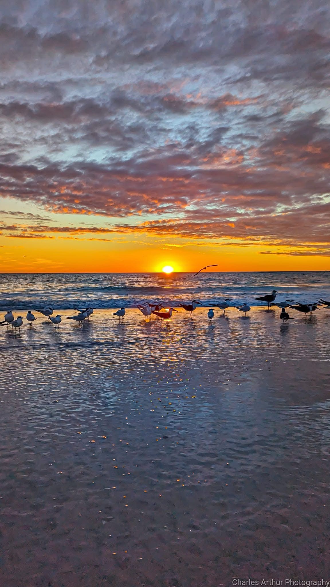 Breathtaking Sunrise Moments