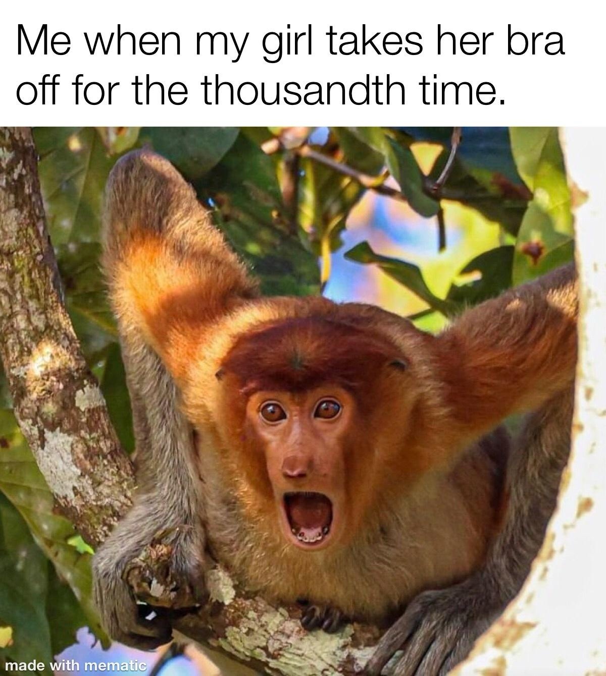 This never gets old, does it?