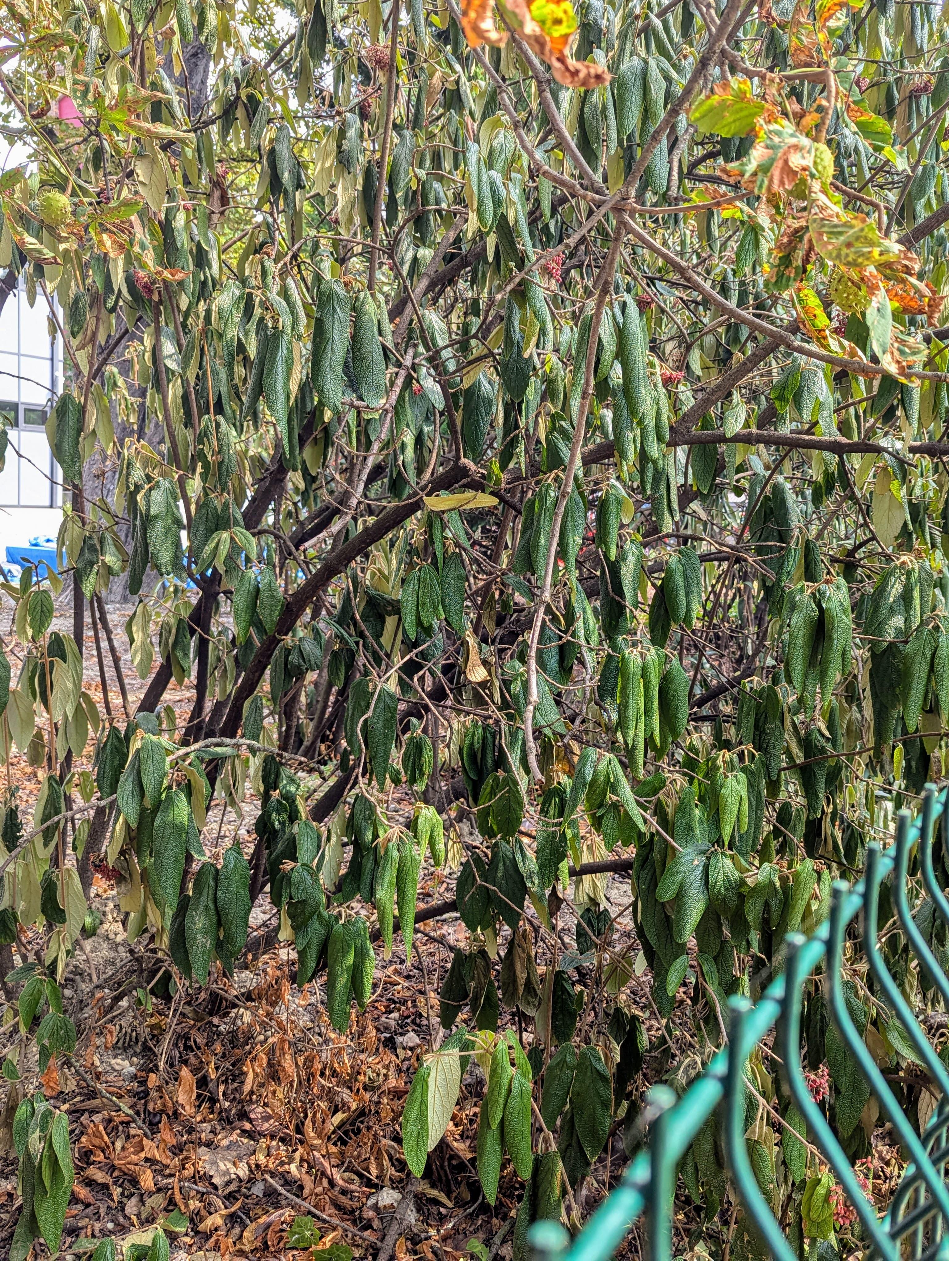 Can you spot the elusive squirrel?