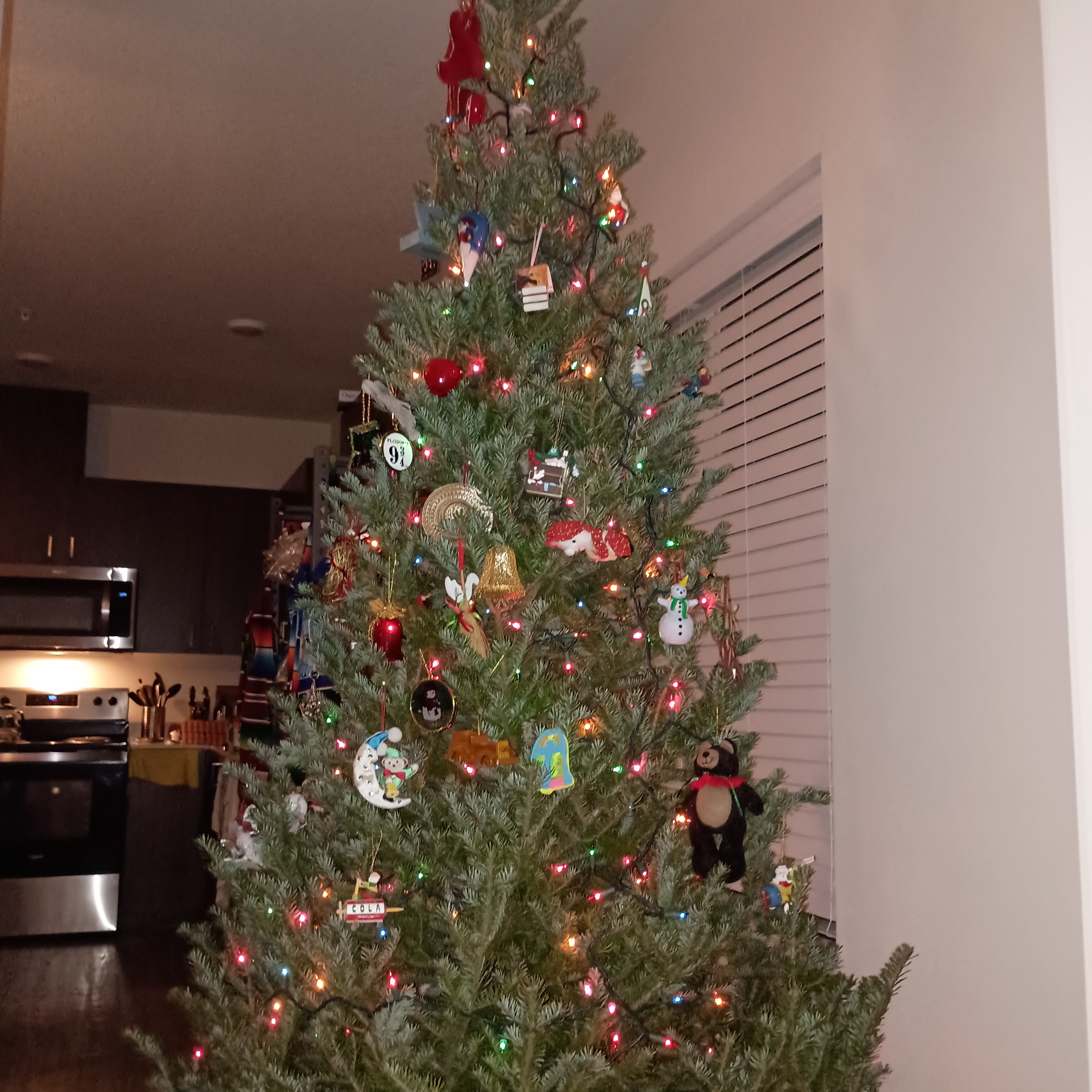 Check out my first Christmas tree in over ten years!