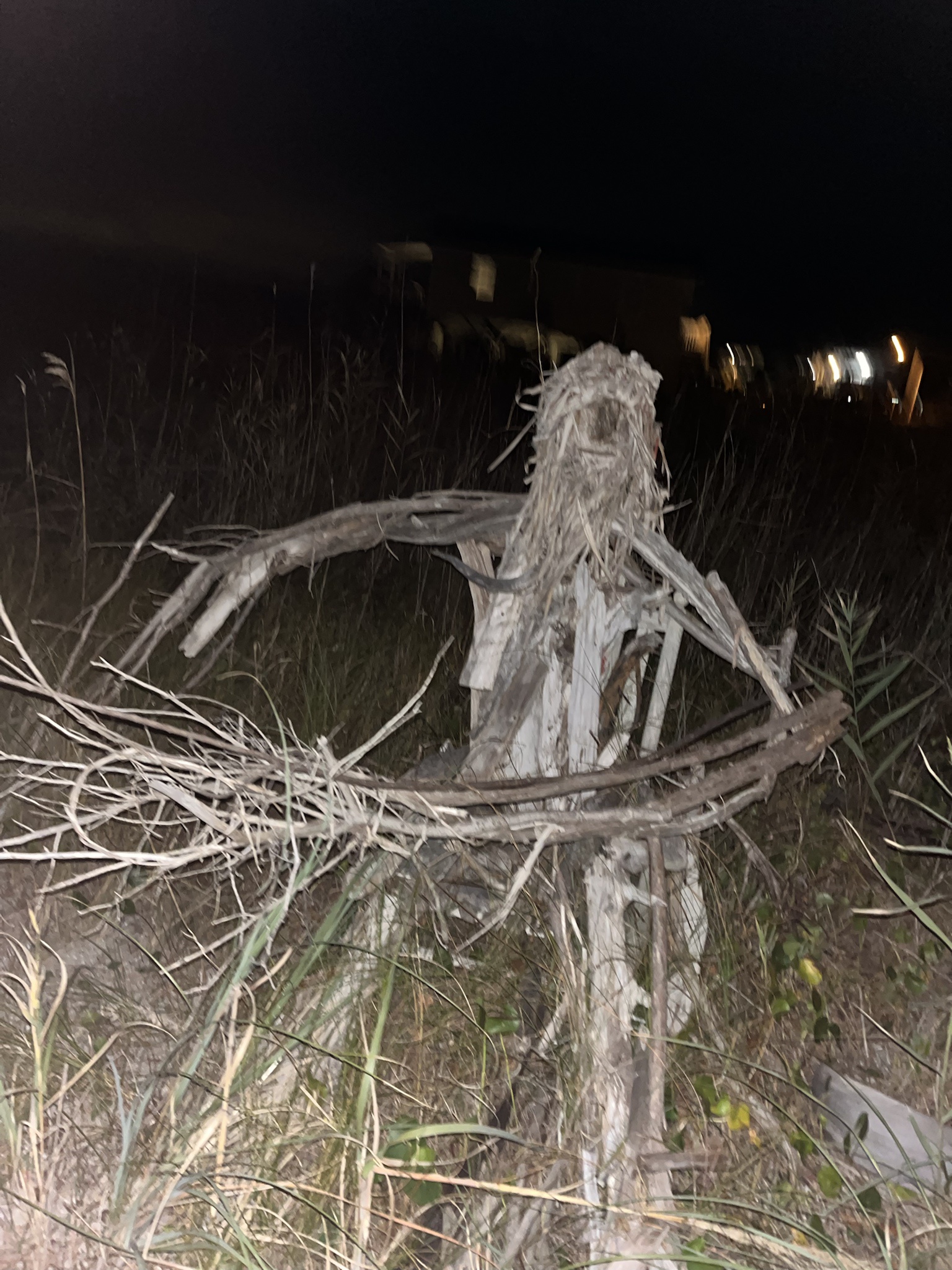Guardians of the Dunes: Protecting Oak Island, NC