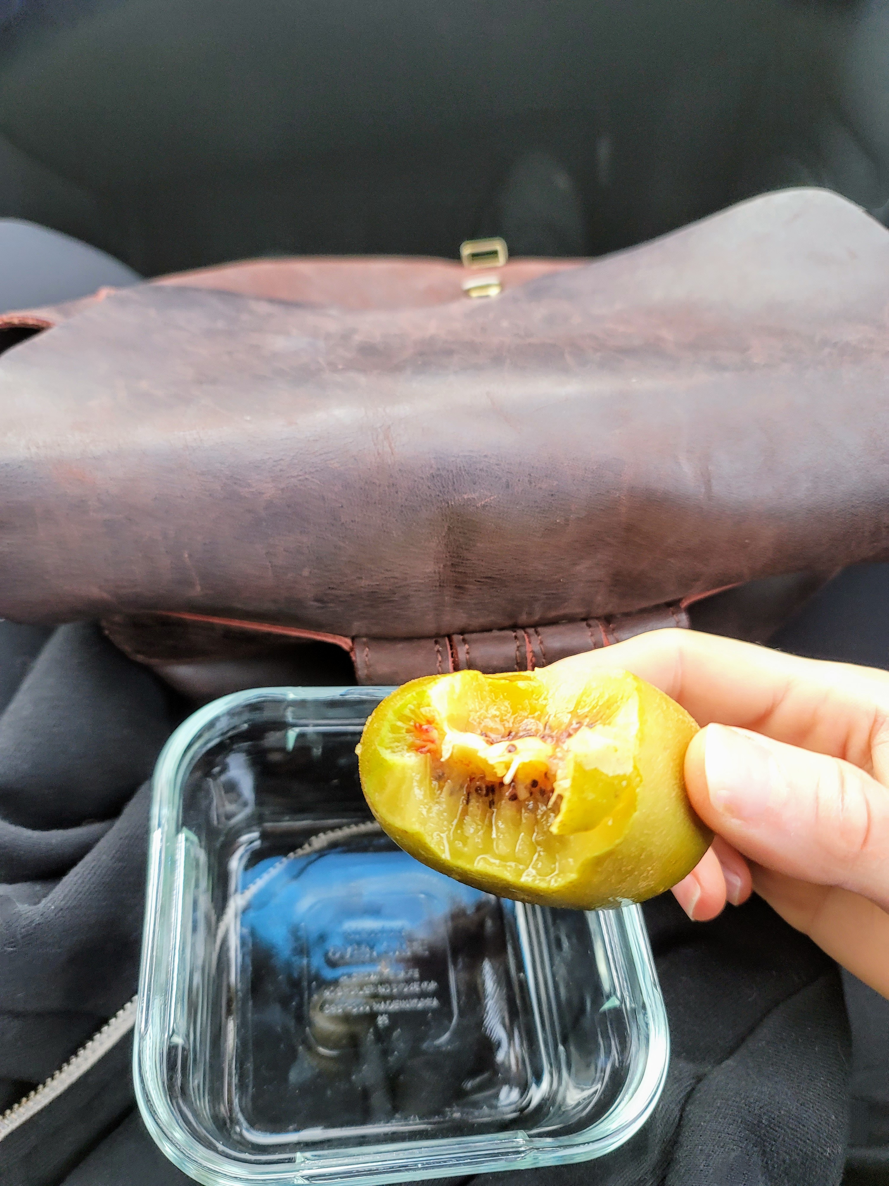 Celebrating the beauty of Red Kiwi.
