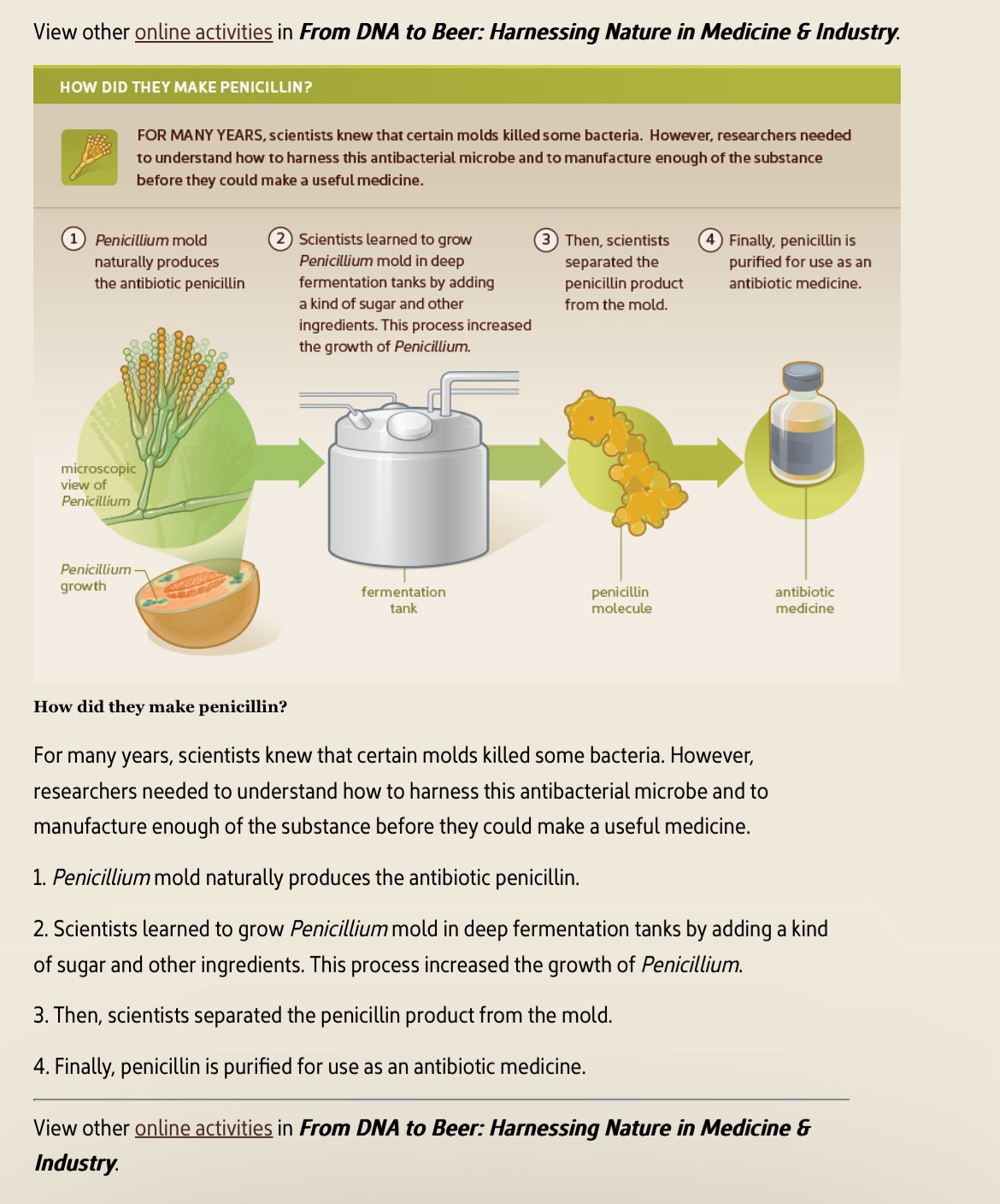 Today I Learned How Penicillin is Created!