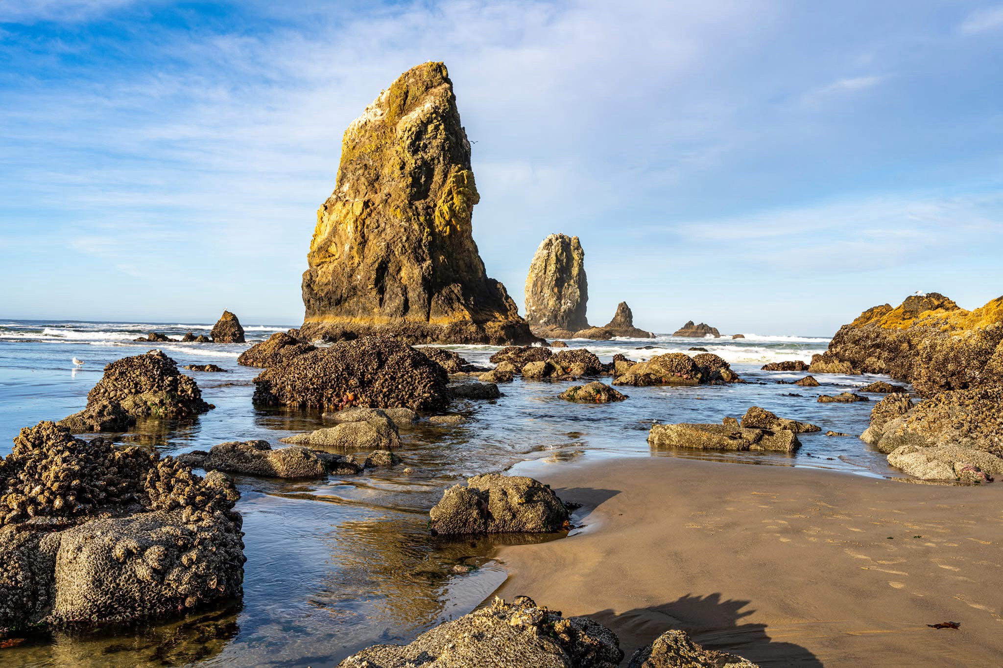 Breathtaking Coastline Views