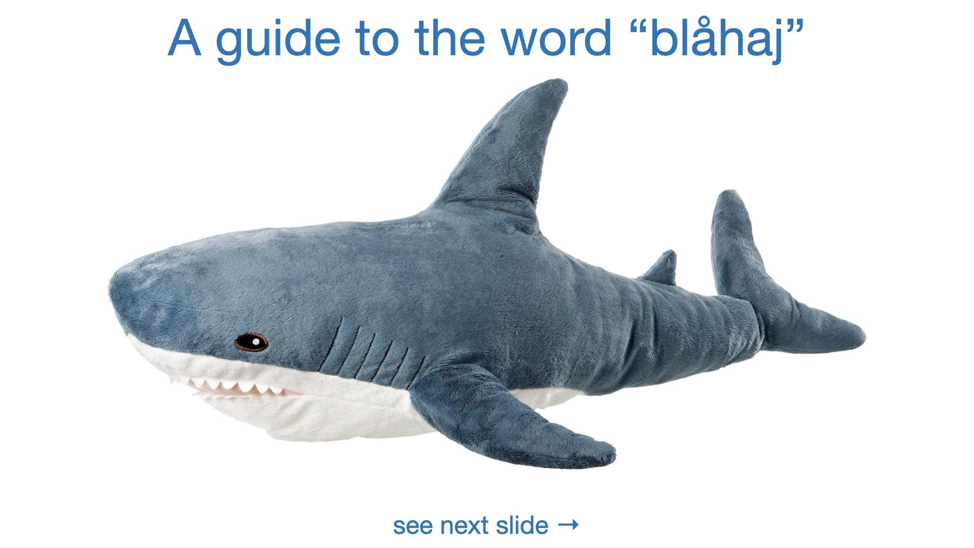 Meet Blahaj: The Beloved Plushie