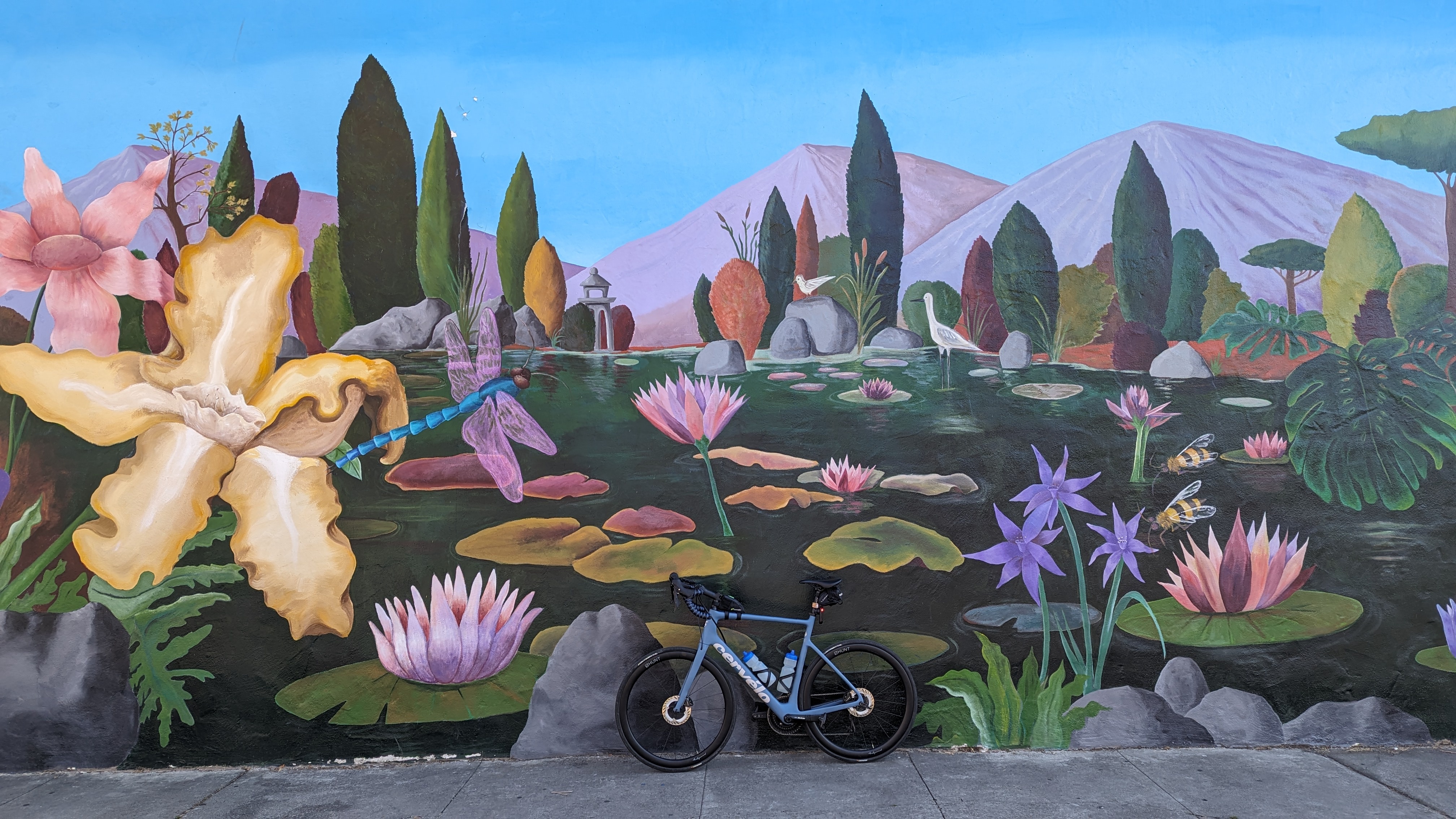 Bay Area Bike Tag 590: Cooking Up Some Fun!