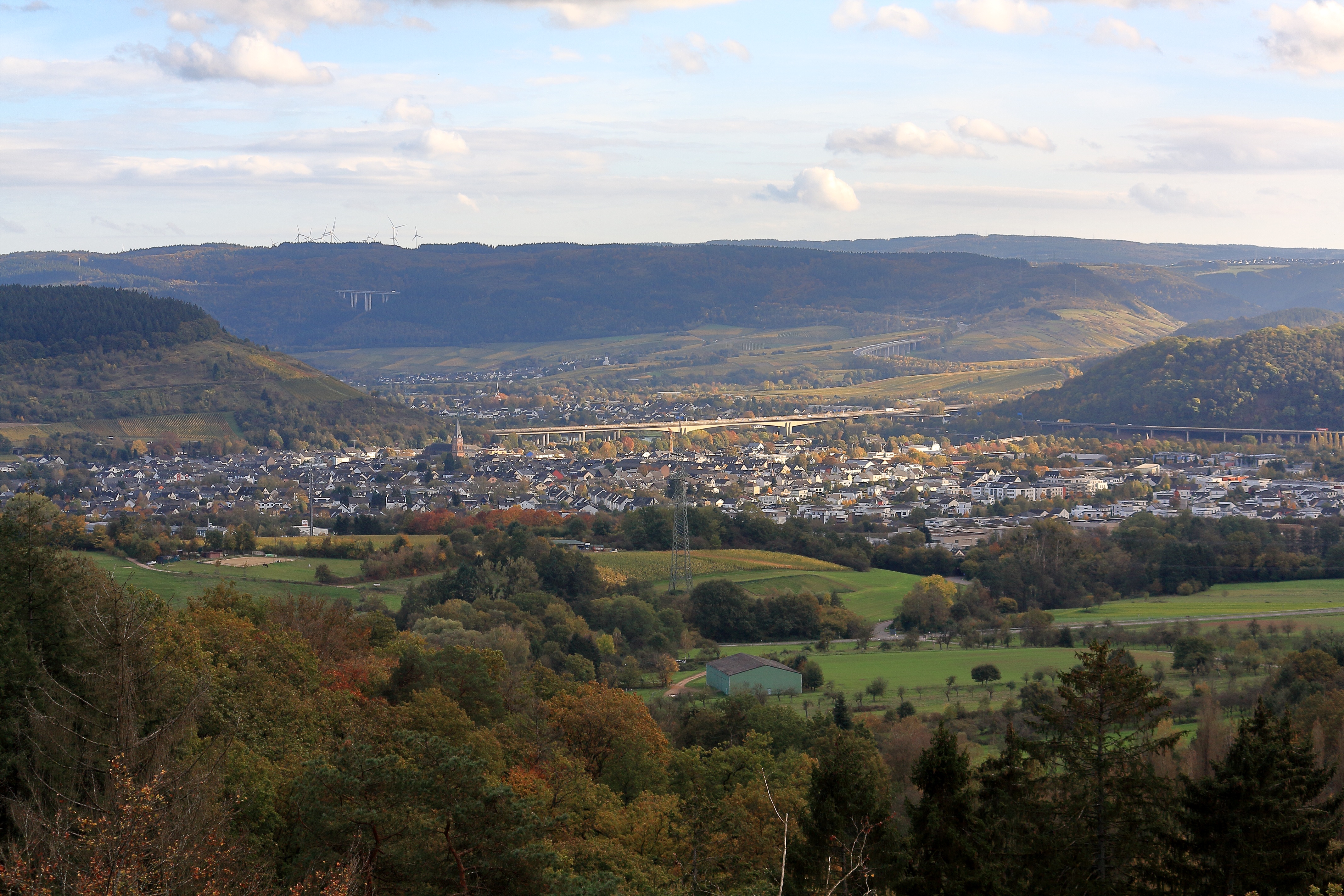Exploring the Scenic Views of Meulenwald Moselblick in Schweich near Trier