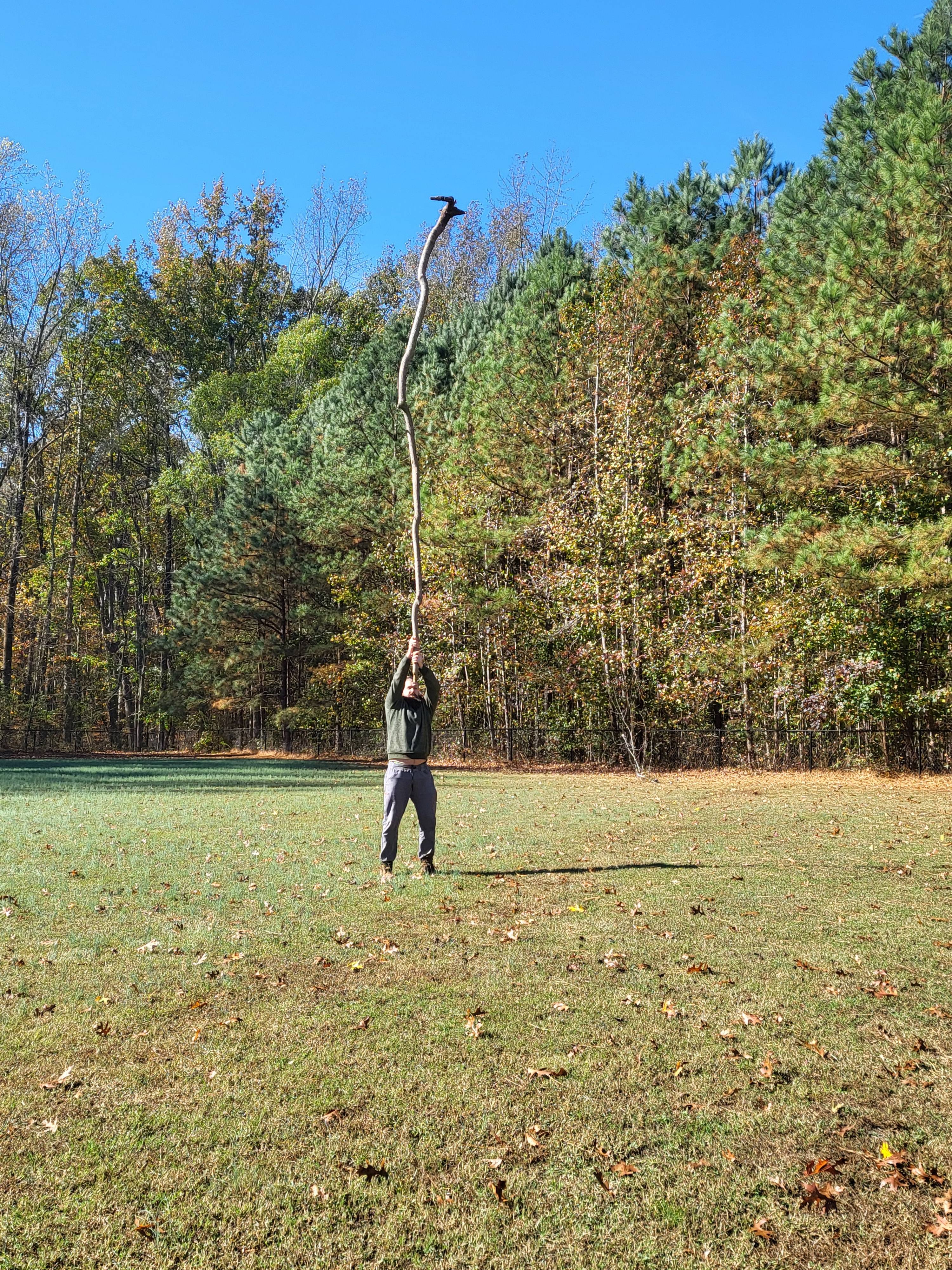 I stumbled upon an amazing stick