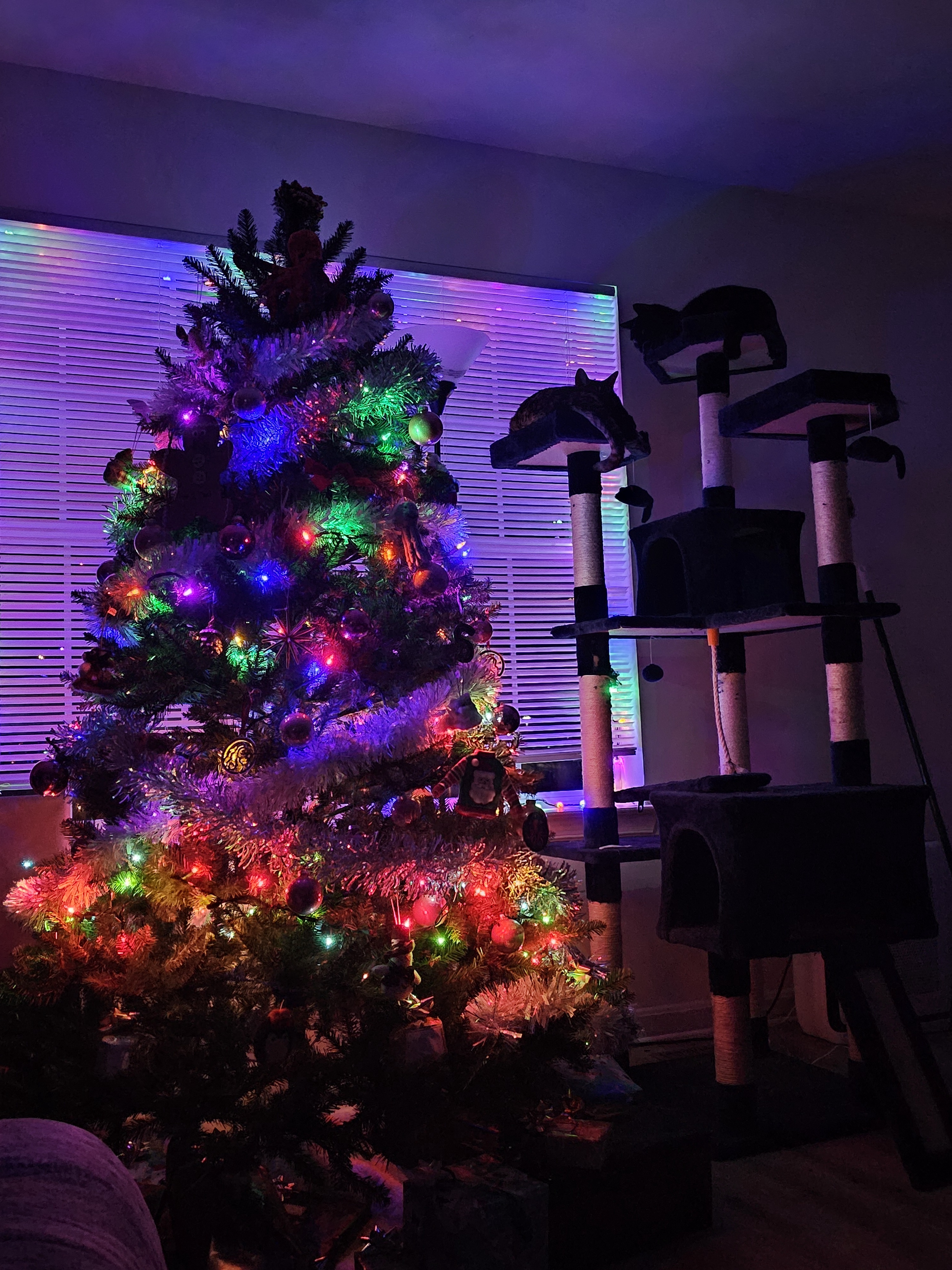 Happy Crimbus to All, Let's Celebrate!