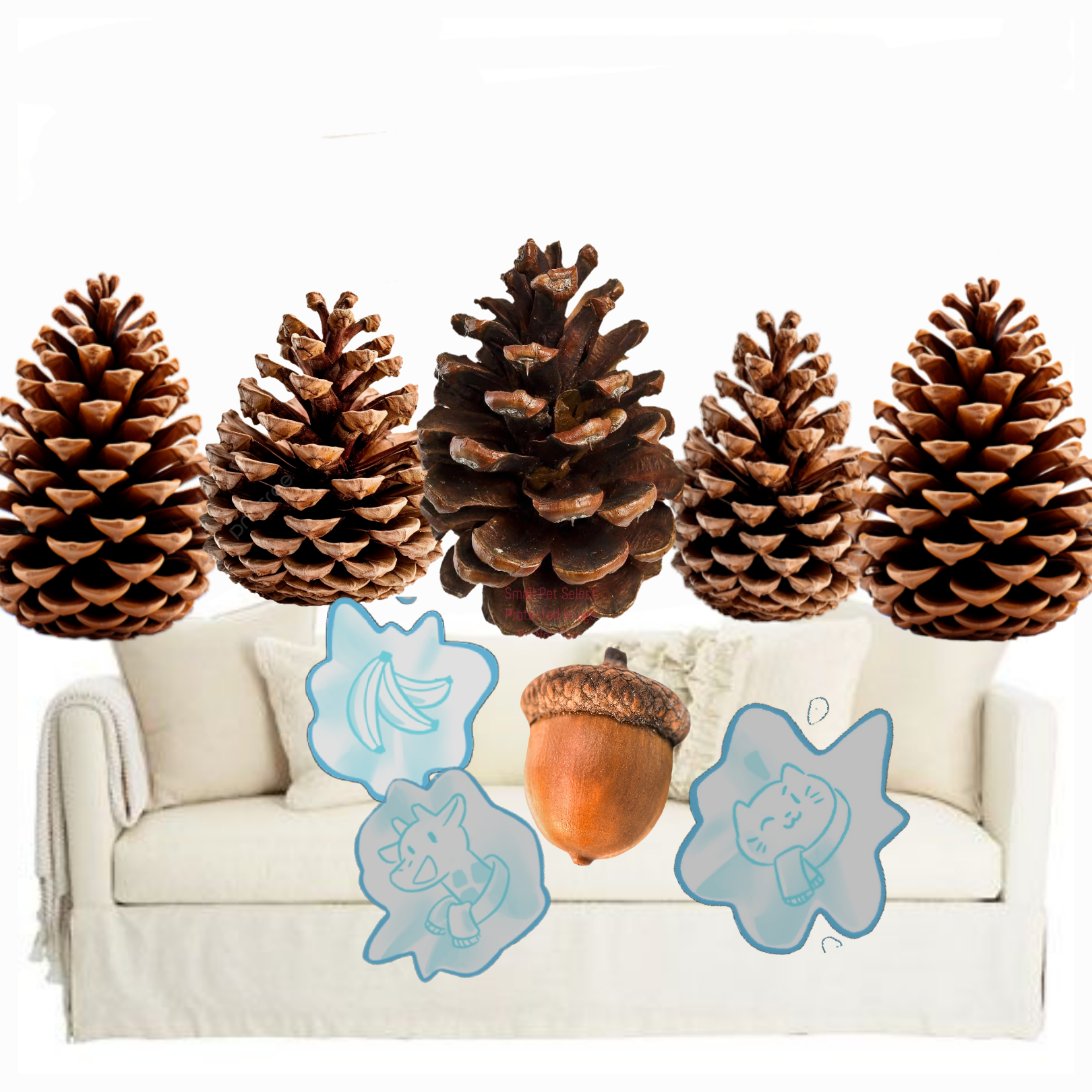 Team Acorn: The Legacy of Scrat Lives On!
