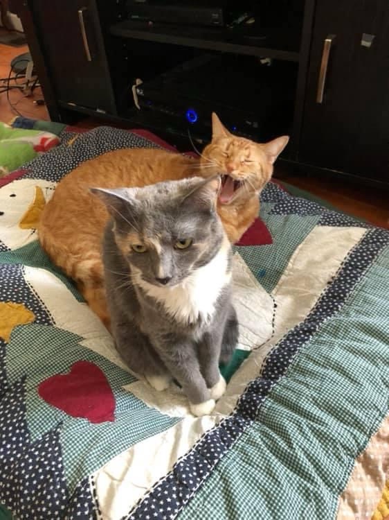We All Have That One Friend Who Drives Us Crazy