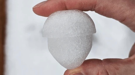 Who Wants Acorn Snowballs?
