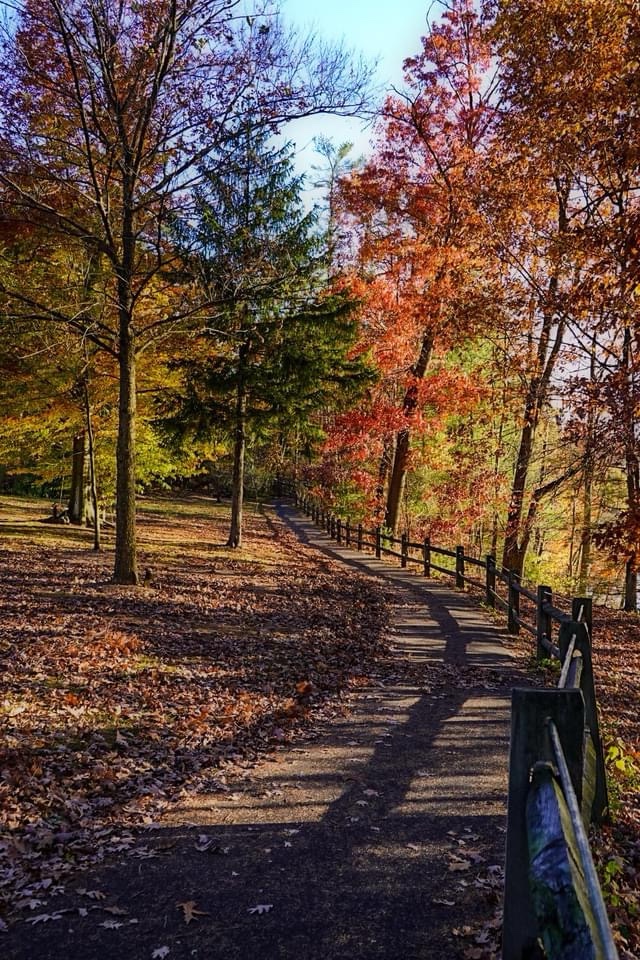 The journey ahead: a winding path