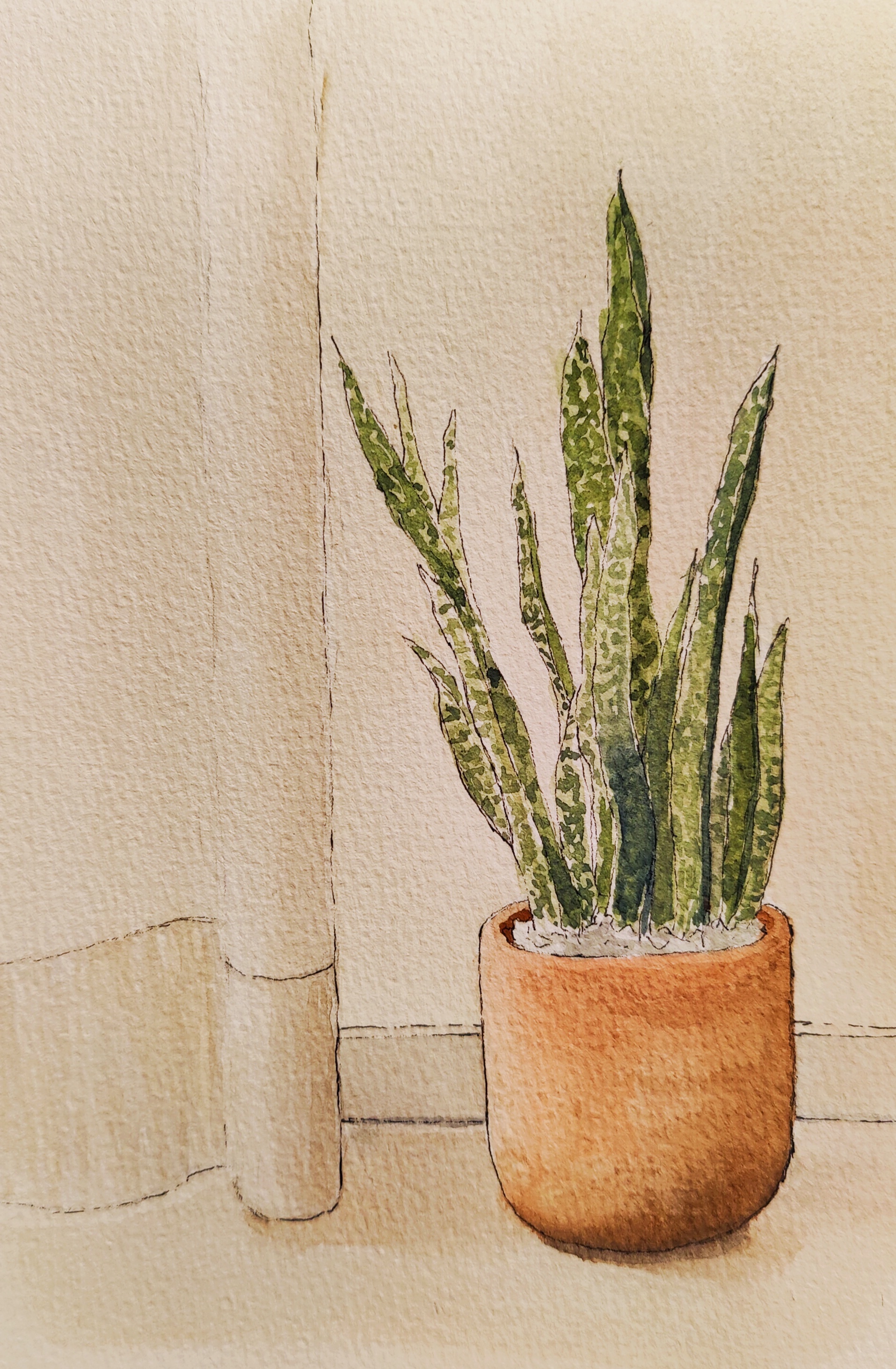 Embracing Eco-Friendly Living