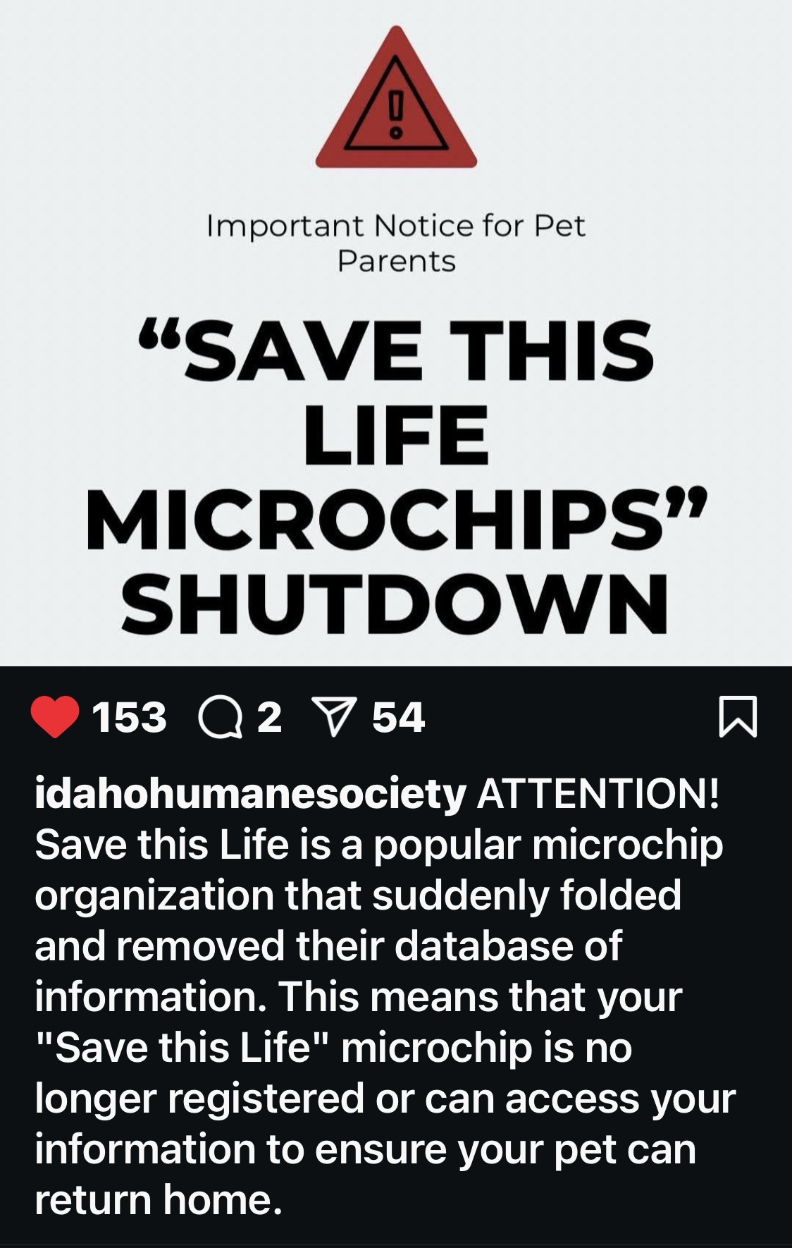 IMPORTANT! Make Sure Your Pet’s Microchip is Up to Date!