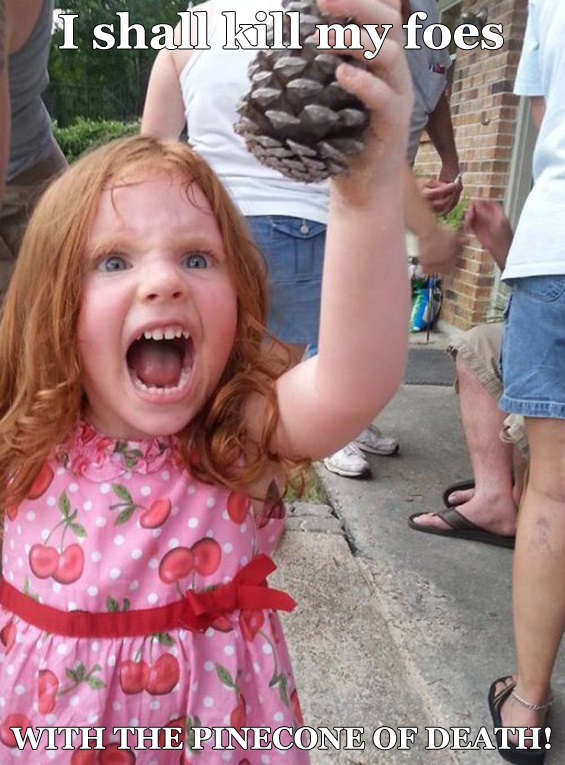 All Hail Team Pinecone!