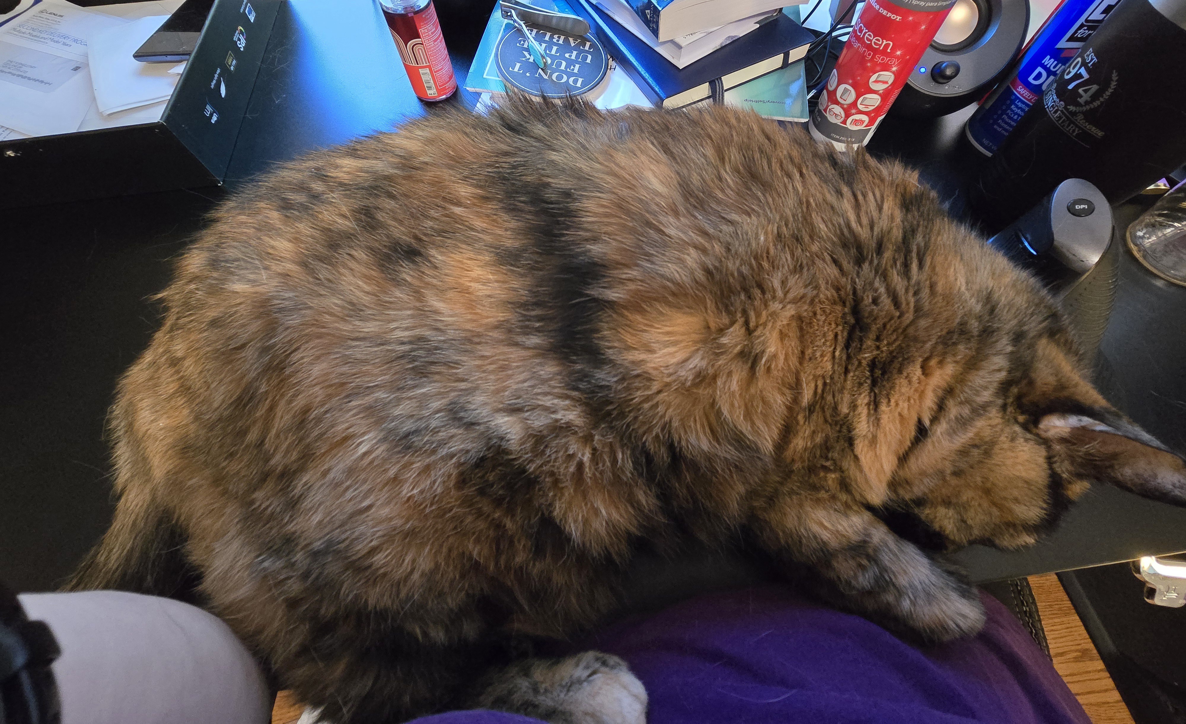 Sorry Strife, but I’m swamped with internship tasks.