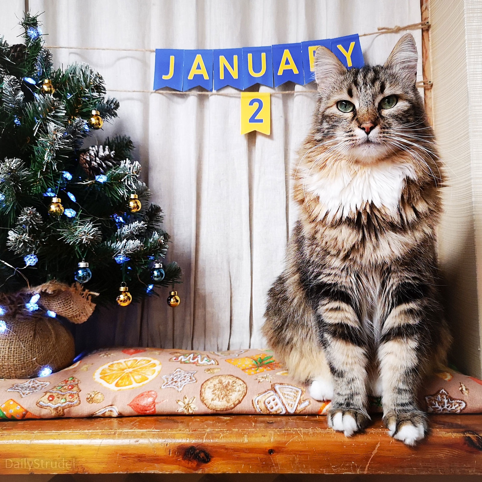 The Significance of January 2: A New Beginning