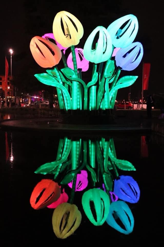 Illuminating Tulip Lights That Captivate
