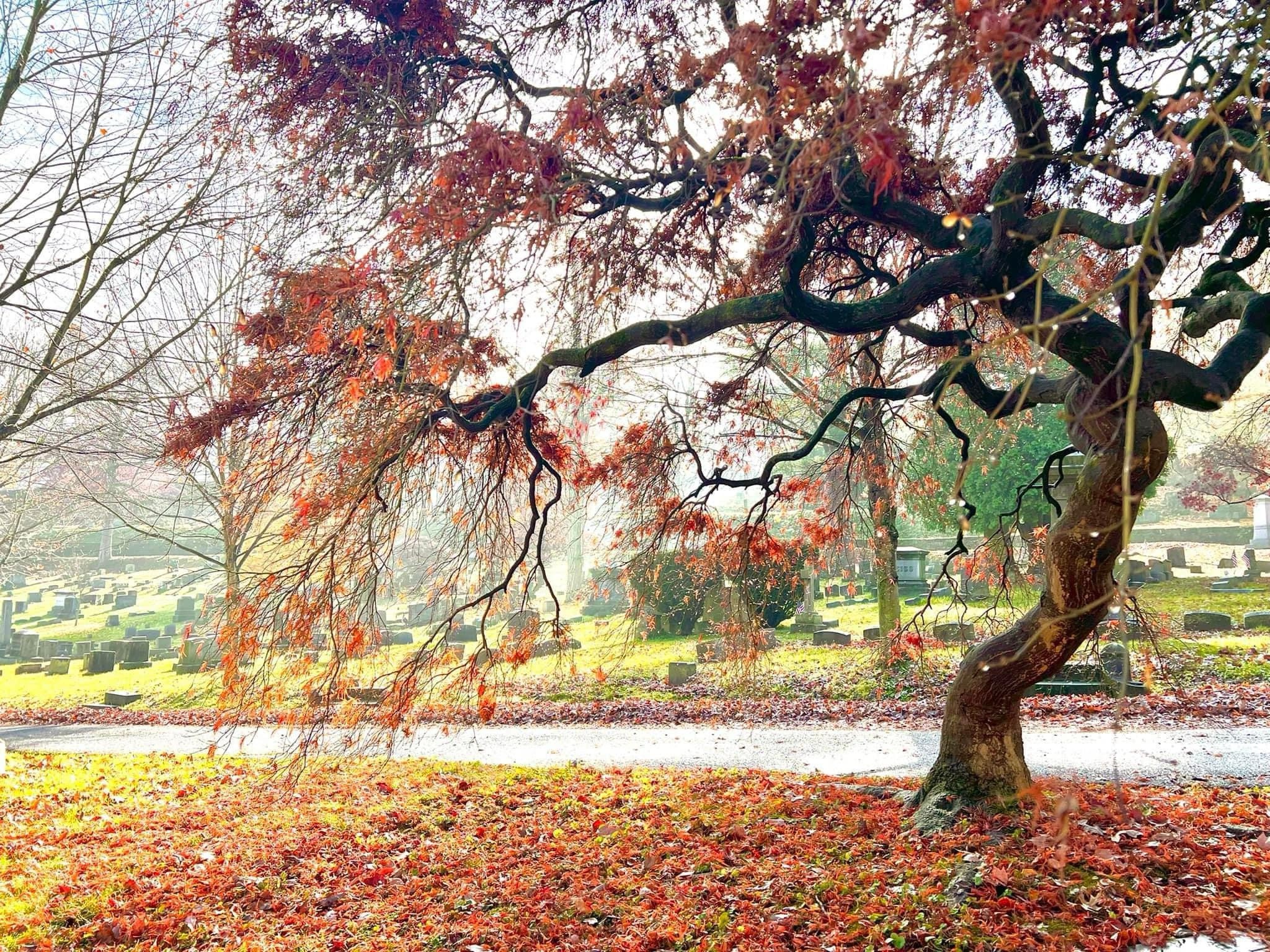 Embracing the Beauty of Autumn